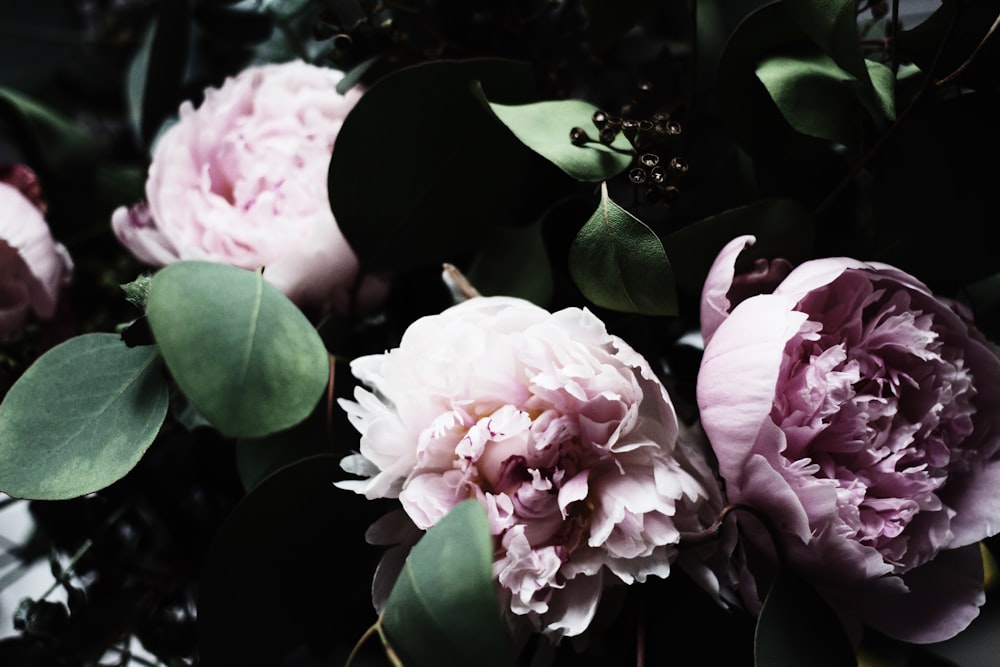 un bouquet de fleurs assis sur une table