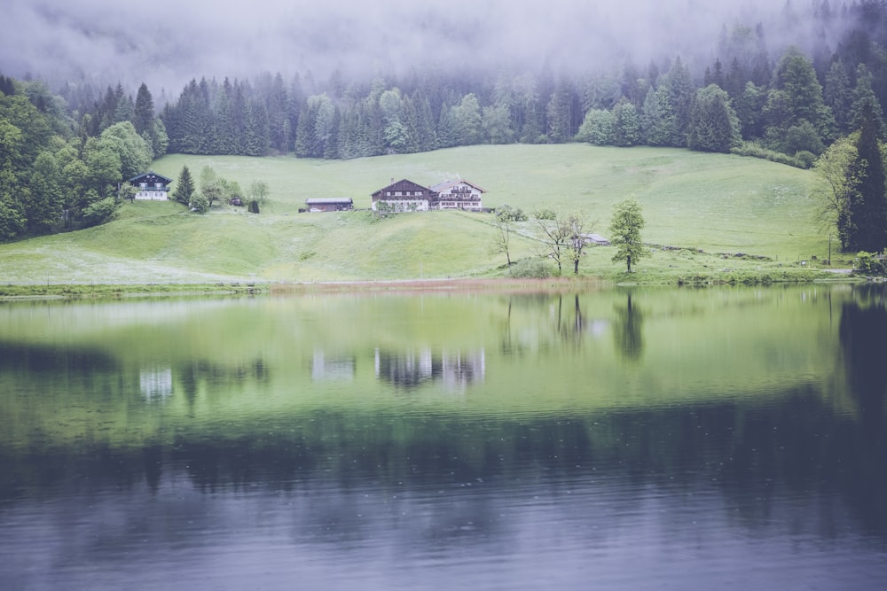 brown house near body of water