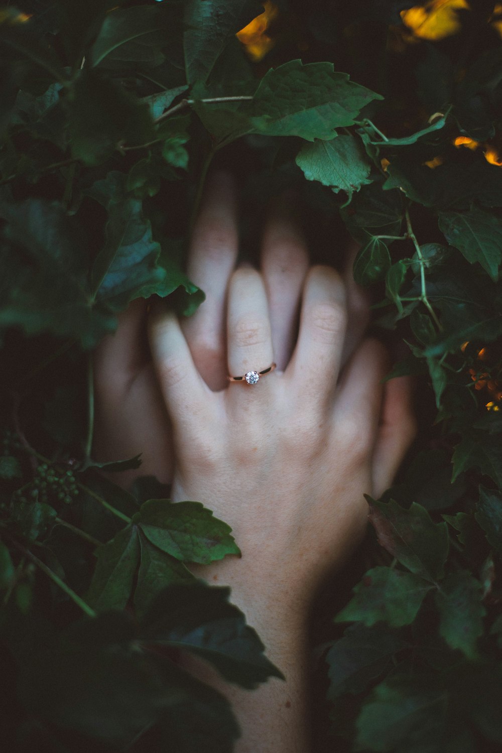 gold-colored ring on hands surrounded by green leaves