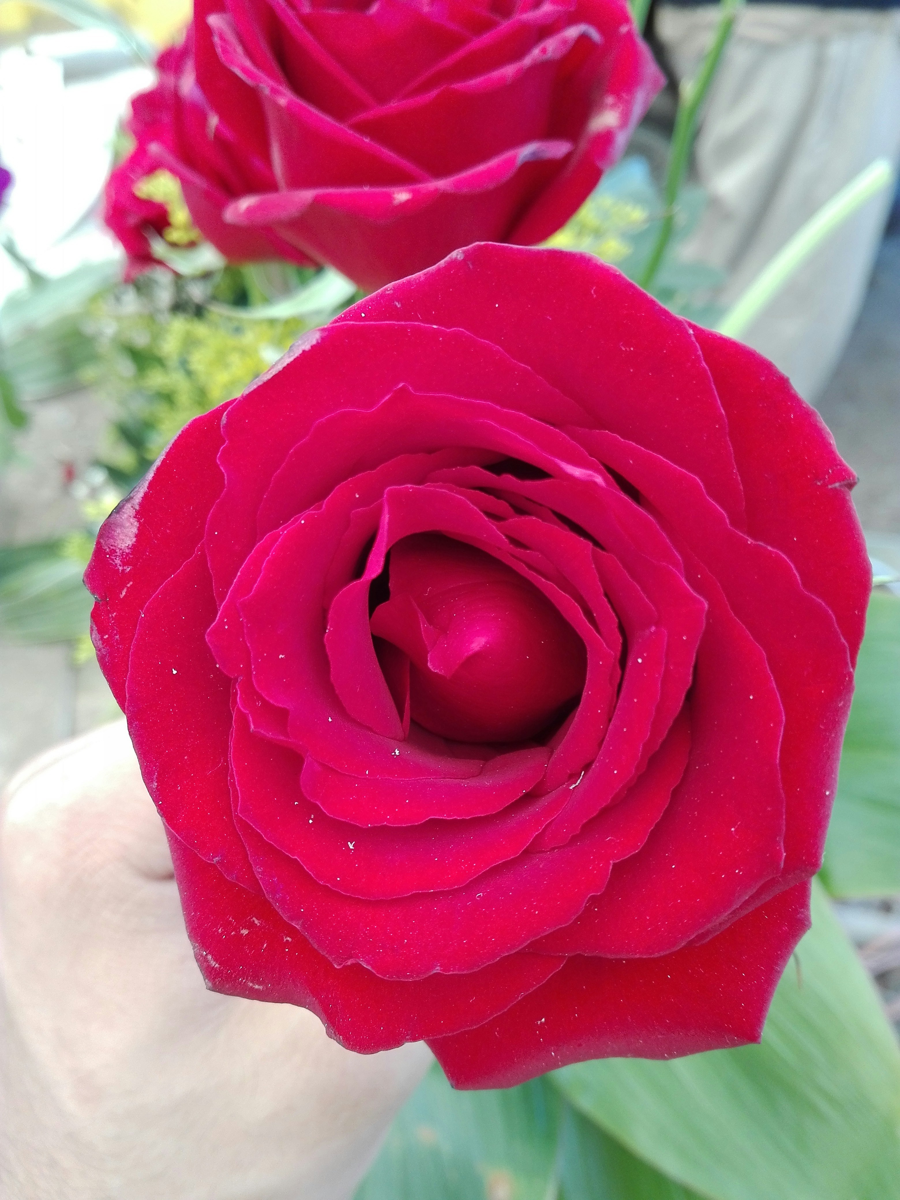 Free Unsplash photo from Israel Gonzalez