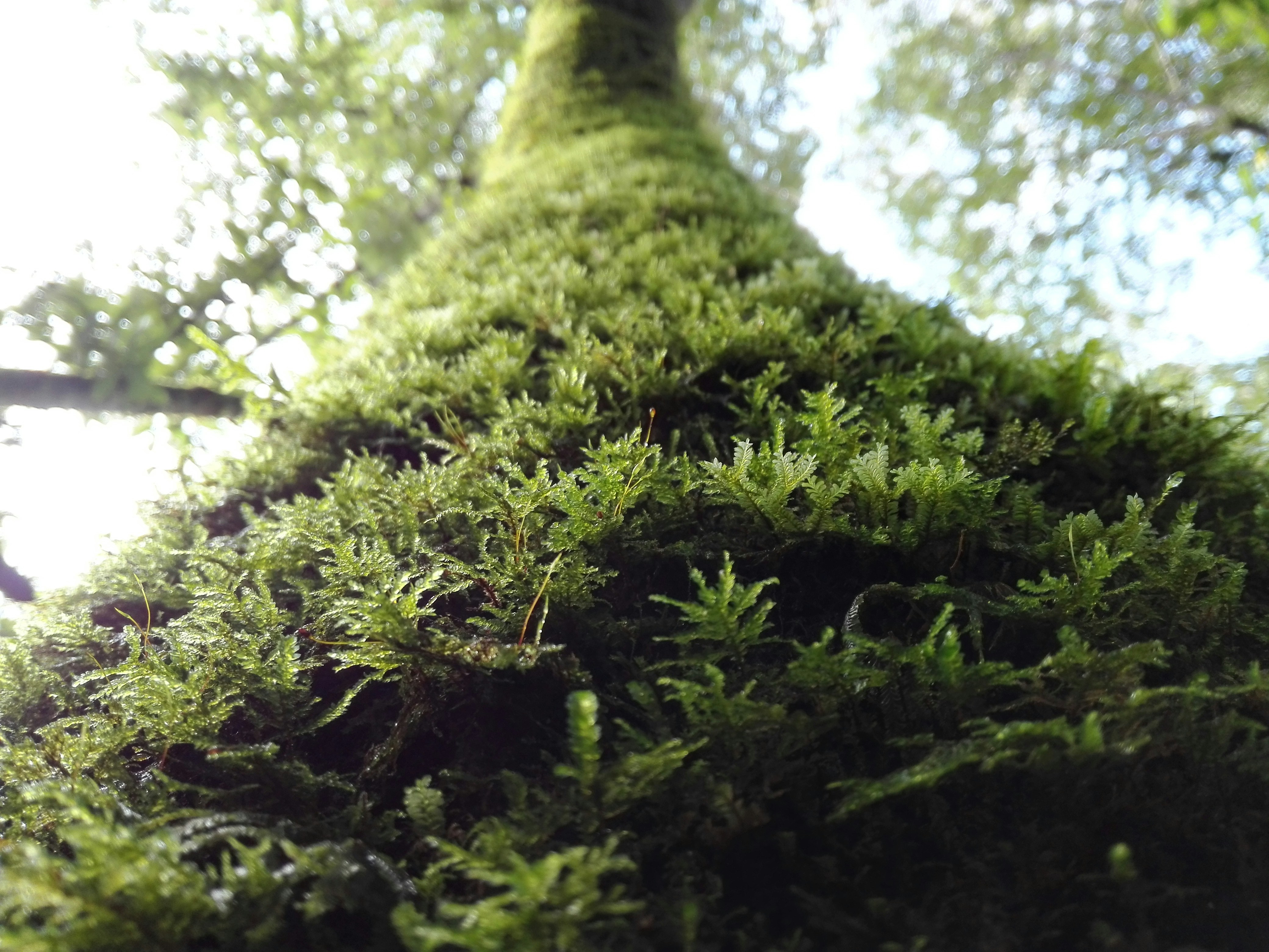 Free Unsplash photo from Israel Gonzalez