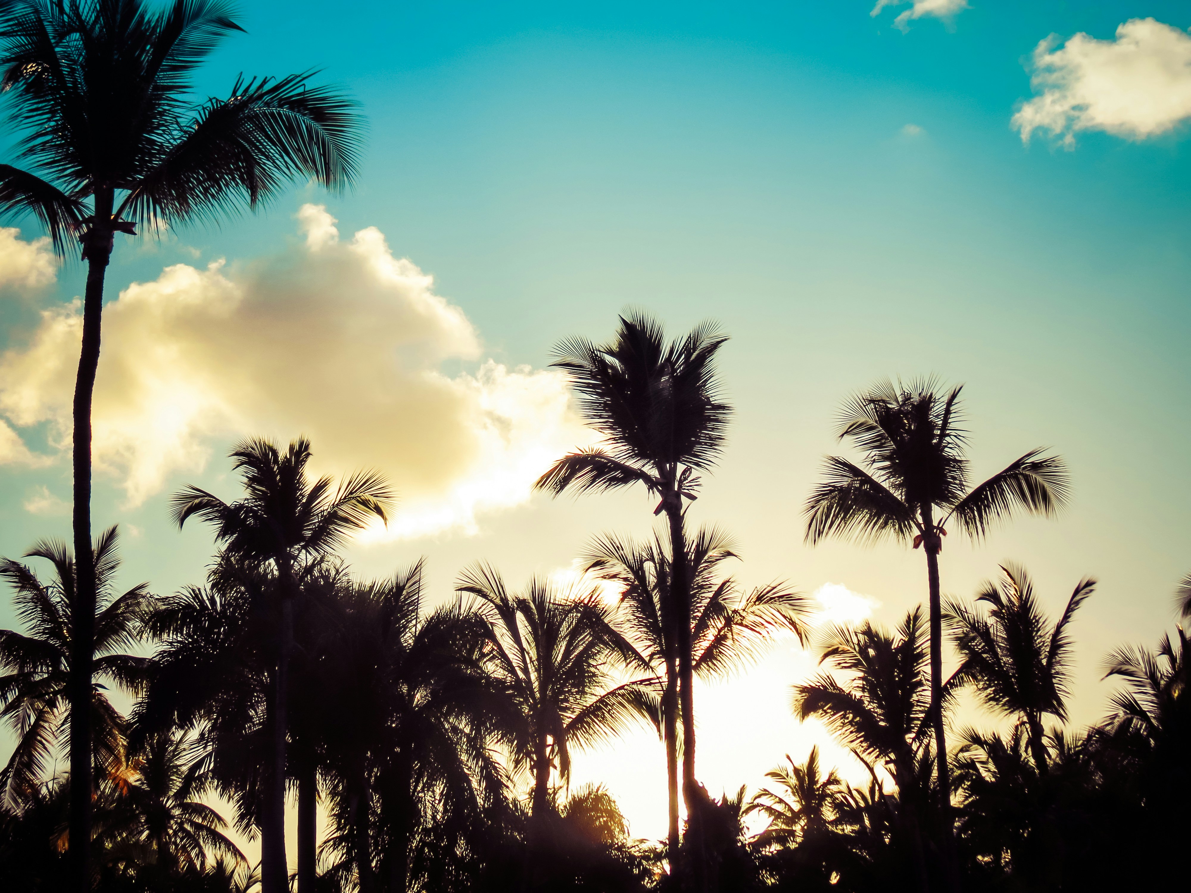 Free Unsplash photo from Cristian Dieguez