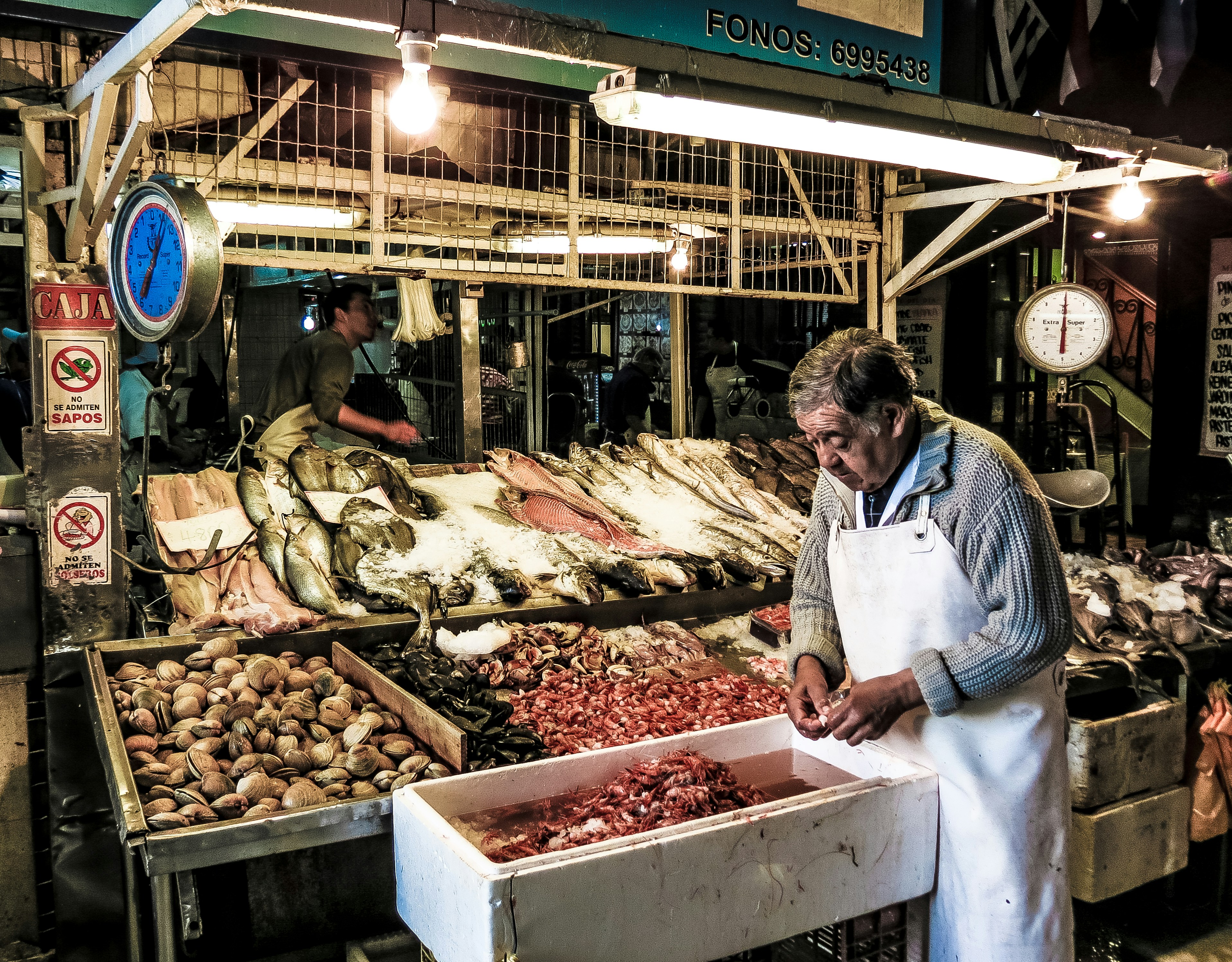 Free Unsplash photo from Cristian Dieguez