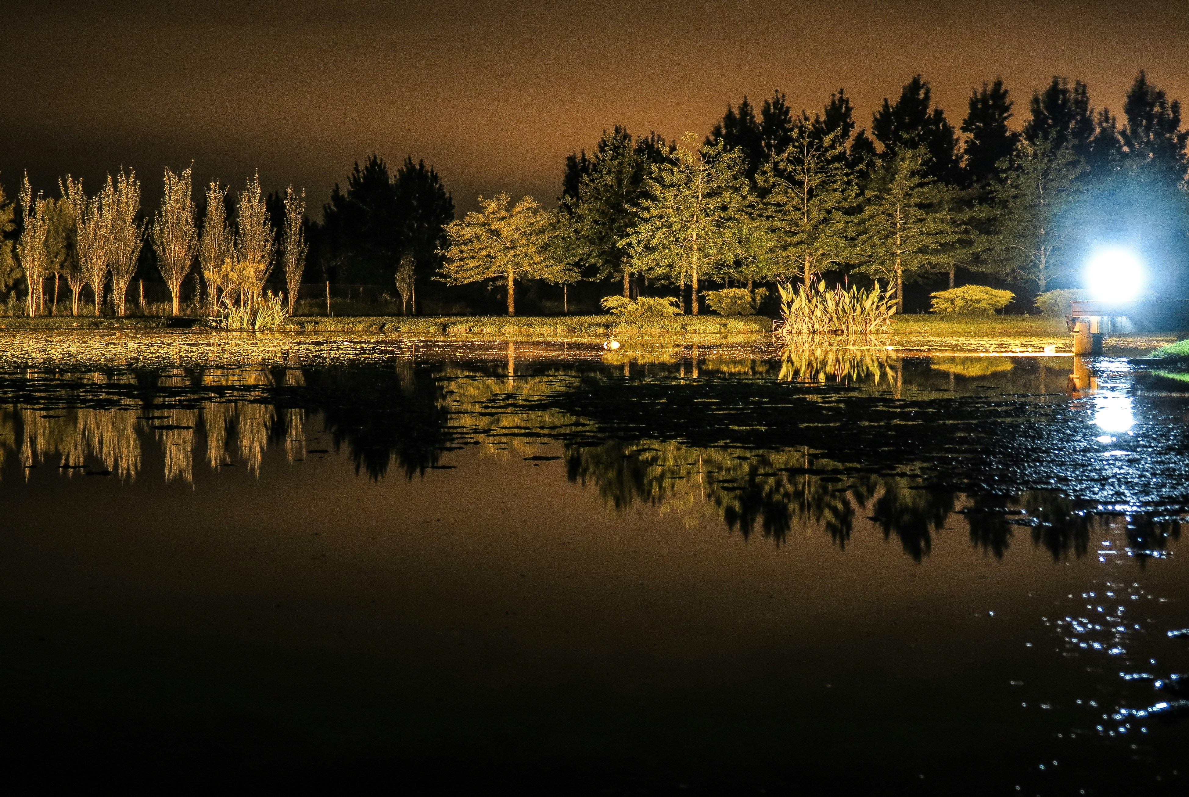 Free Unsplash photo from Cristian Dieguez