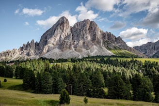 green spruce tree far at gray rocky mountains during daytime photography