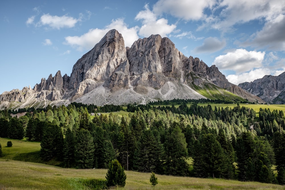 green spruce tree far at gray rocky mountains during daytime photography