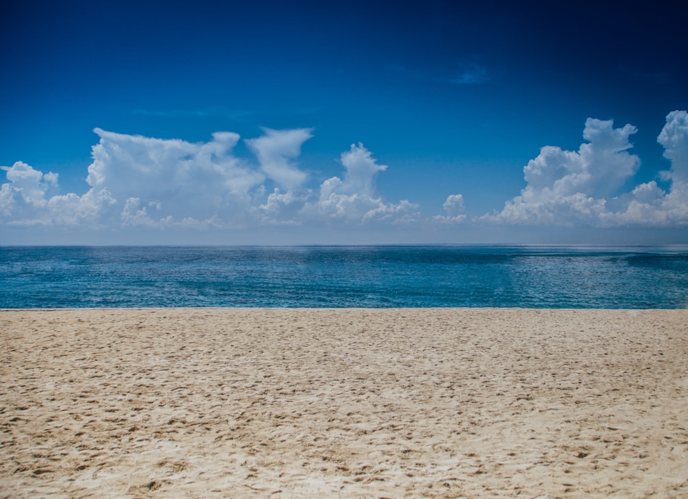 landscape photography of seashore