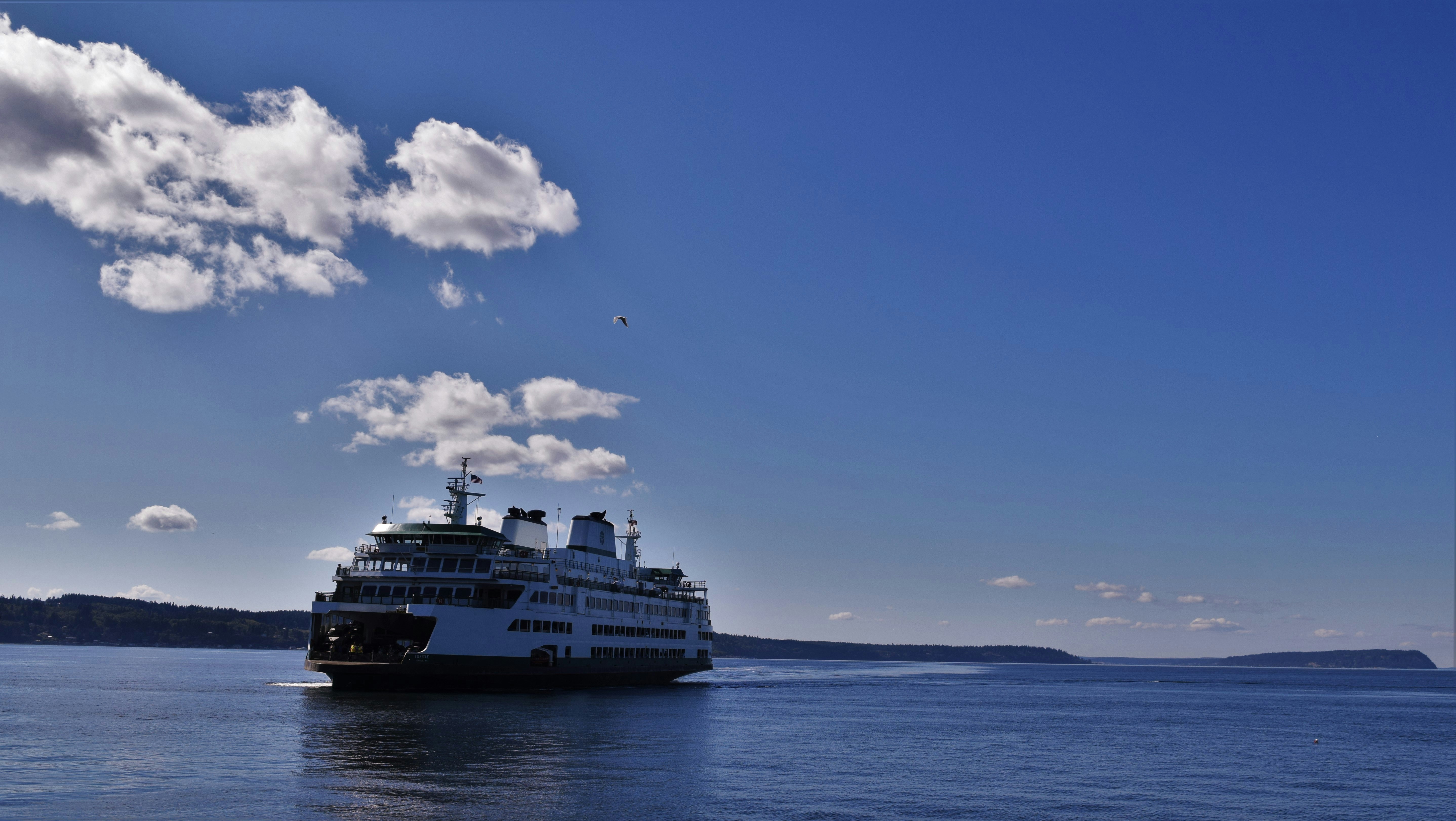 Free Unsplash photo from Rick Medlen