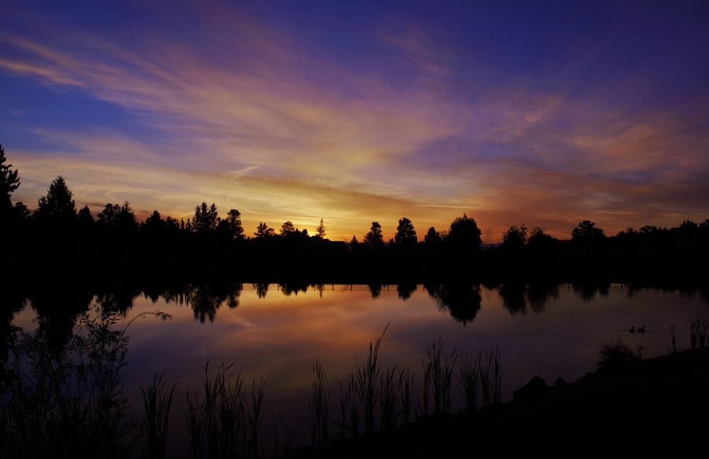 silhouette of trees near body of water painting