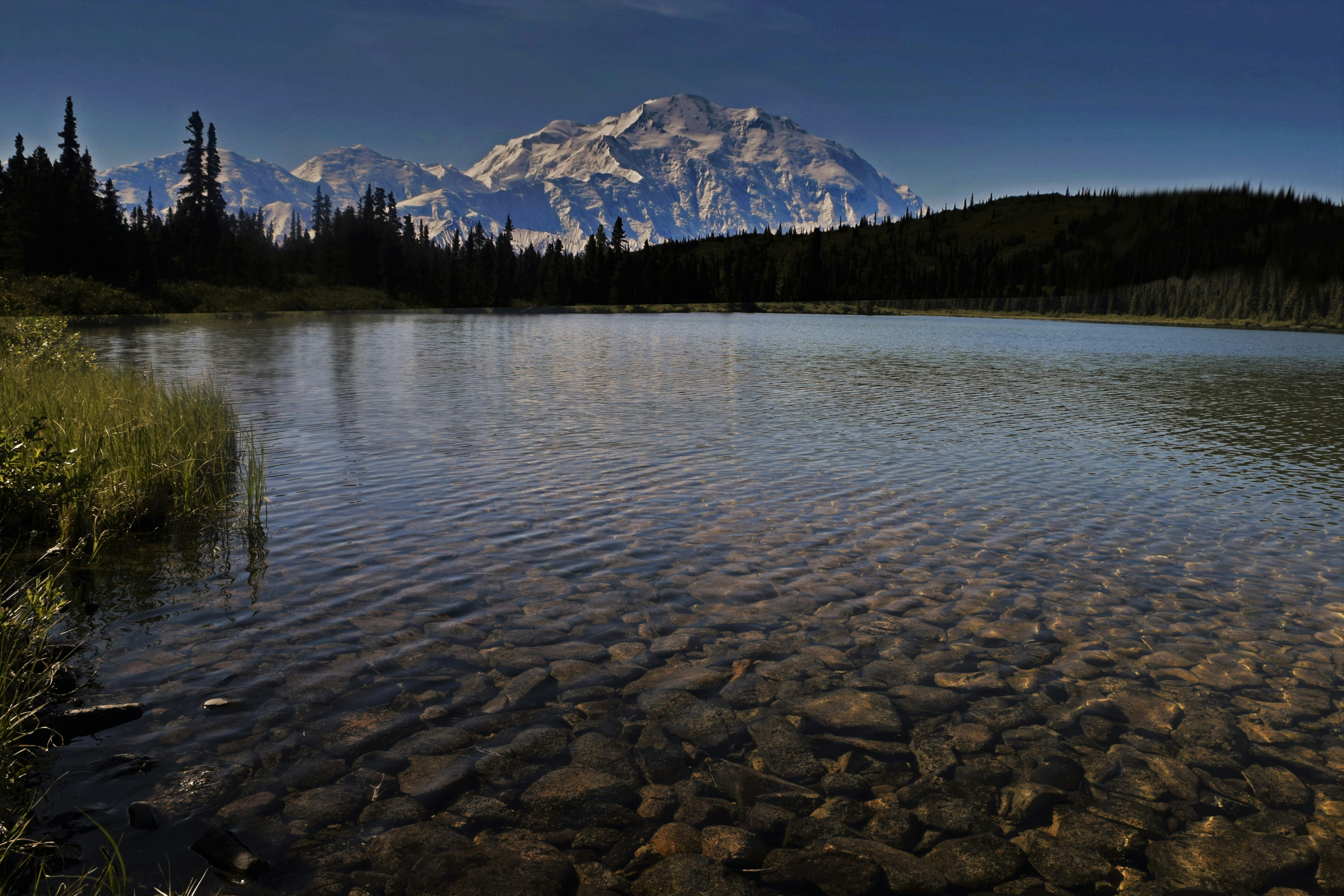 Free Unsplash photo from Rick Medlen