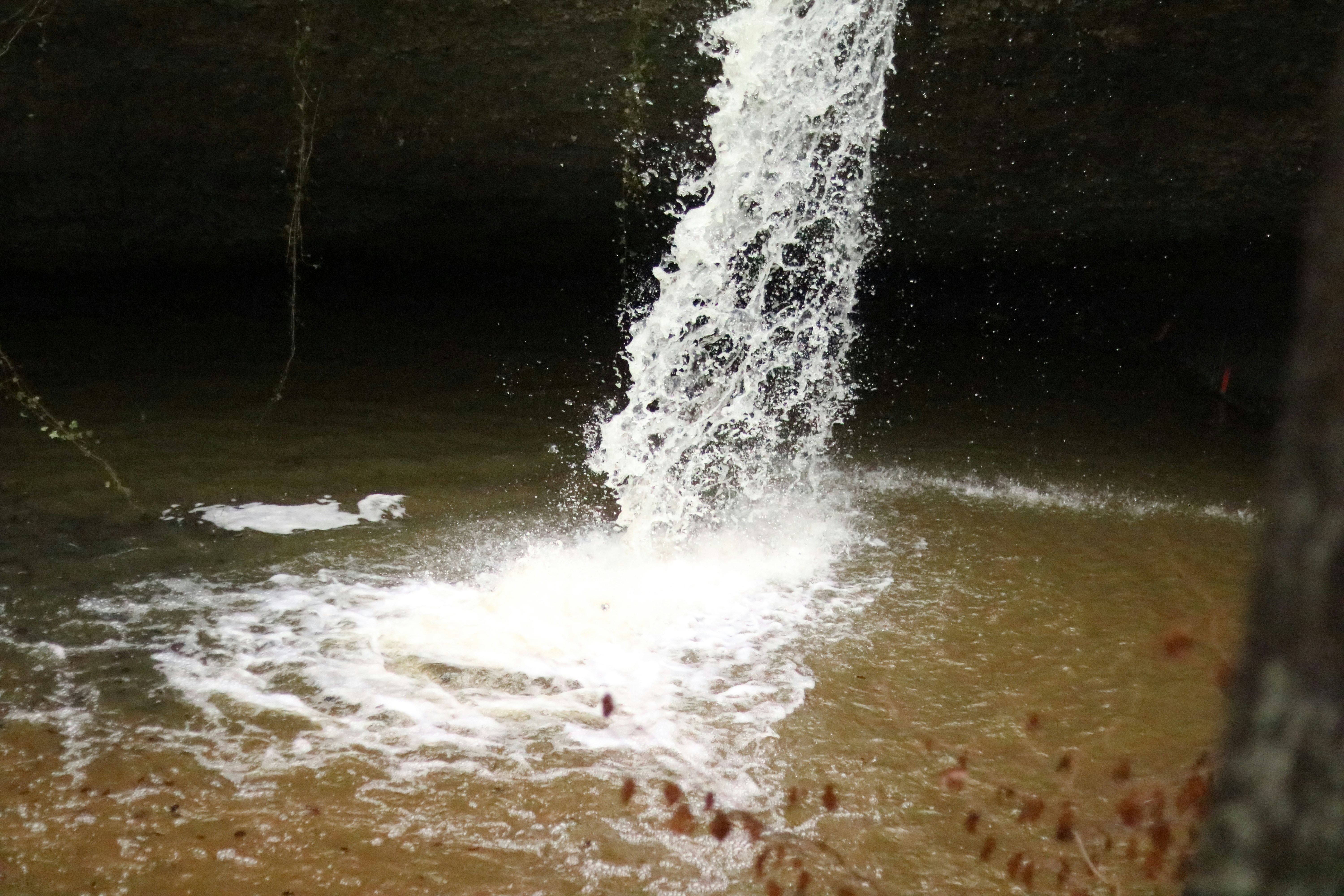 Free Unsplash photo from Oscar Lado