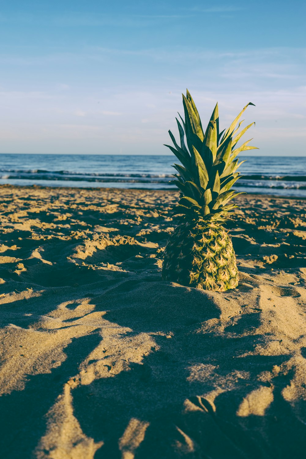 shallow focus photo of yellow pineapple on sand