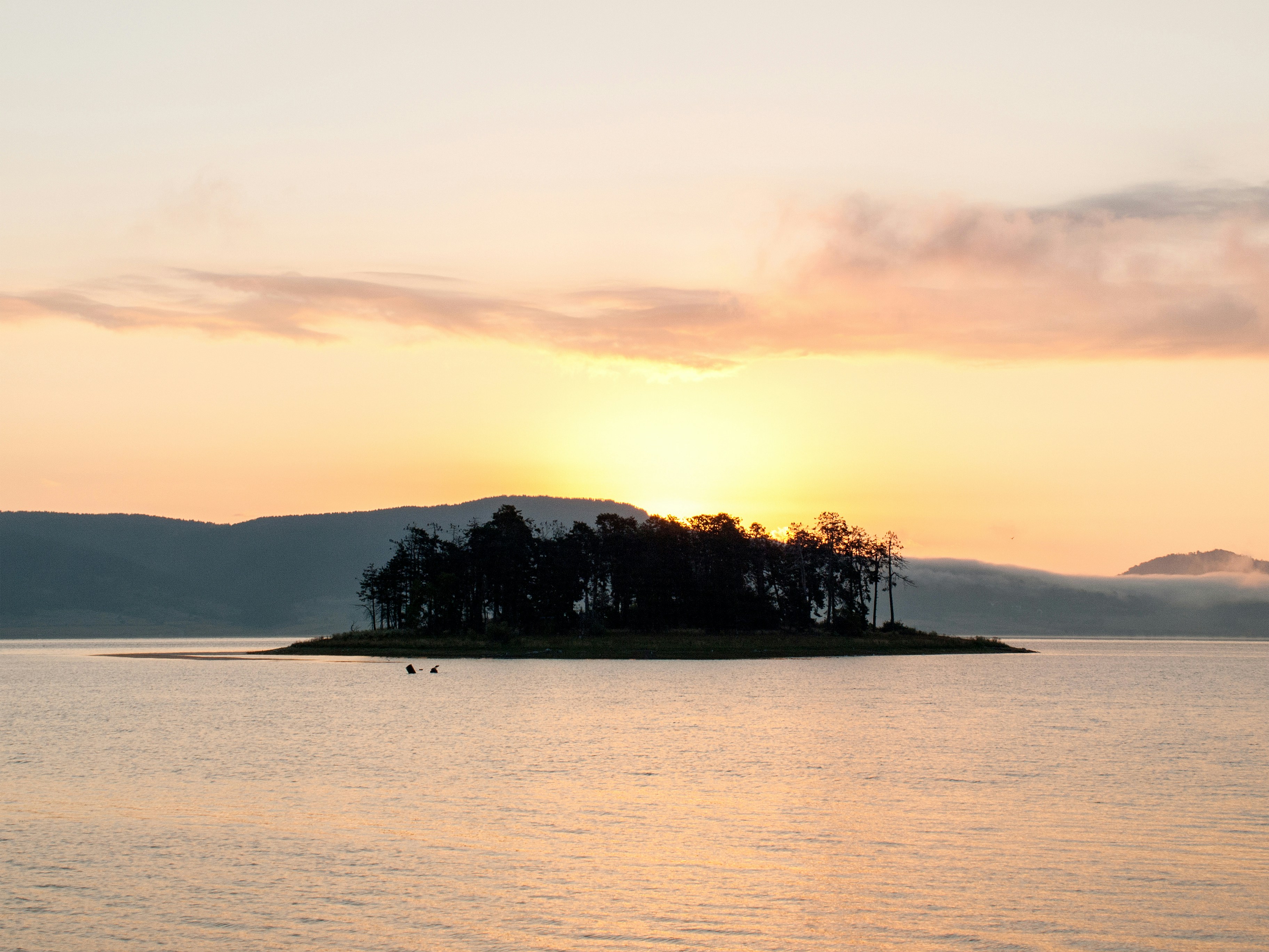 Free Unsplash photo from STEFAN VASILEV