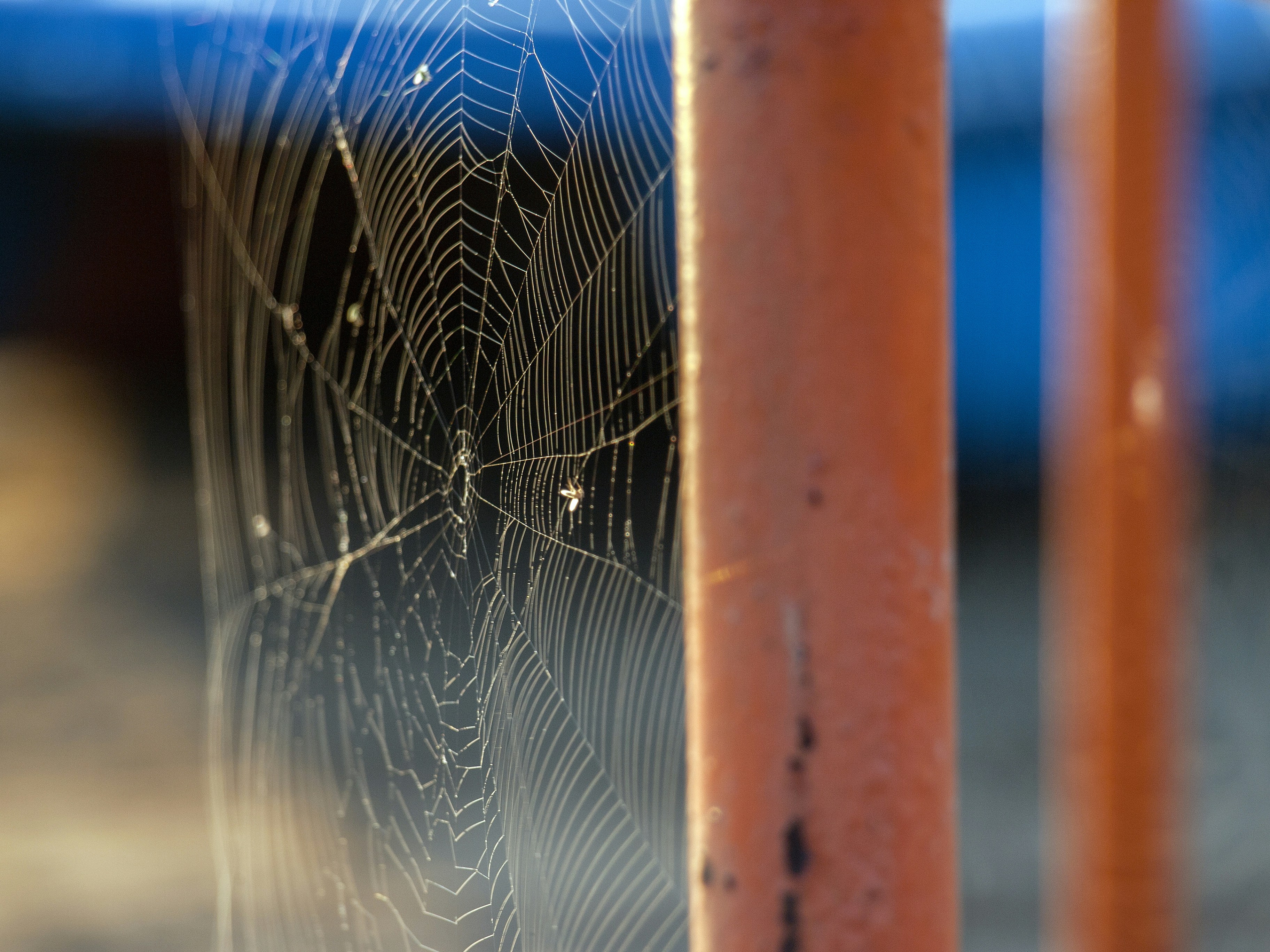 Free Unsplash photo from STEFAN VASILEV