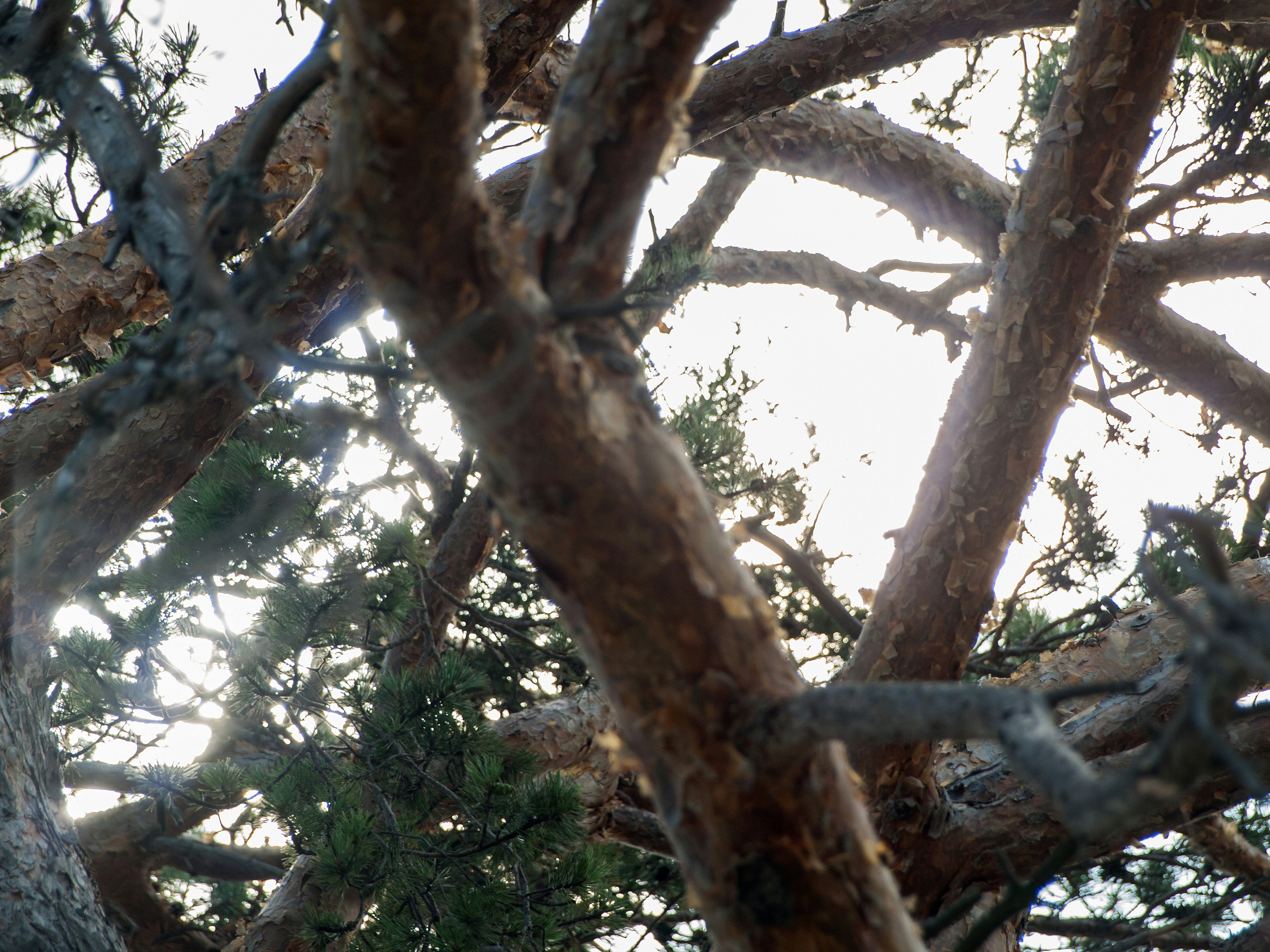 Free Unsplash photo from STEFAN VASILEV