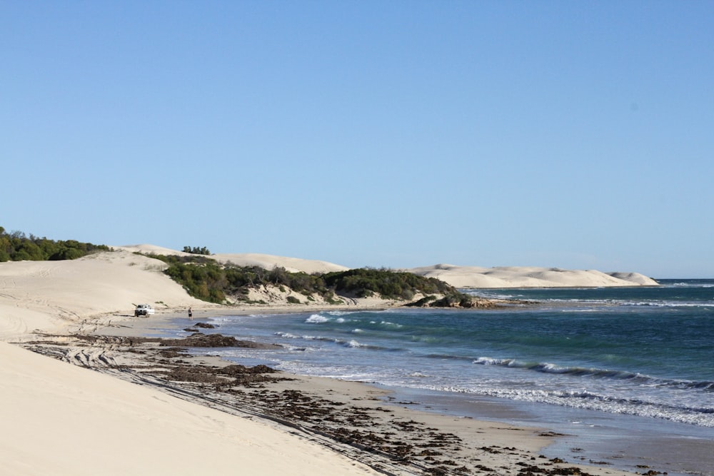 body of water near seashore