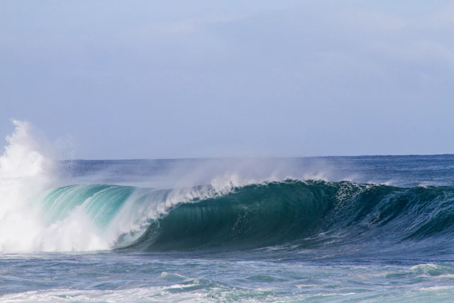National Longboard Circuit: S. Pedro do Estoril