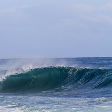 Cover Image for Surfers in Climate