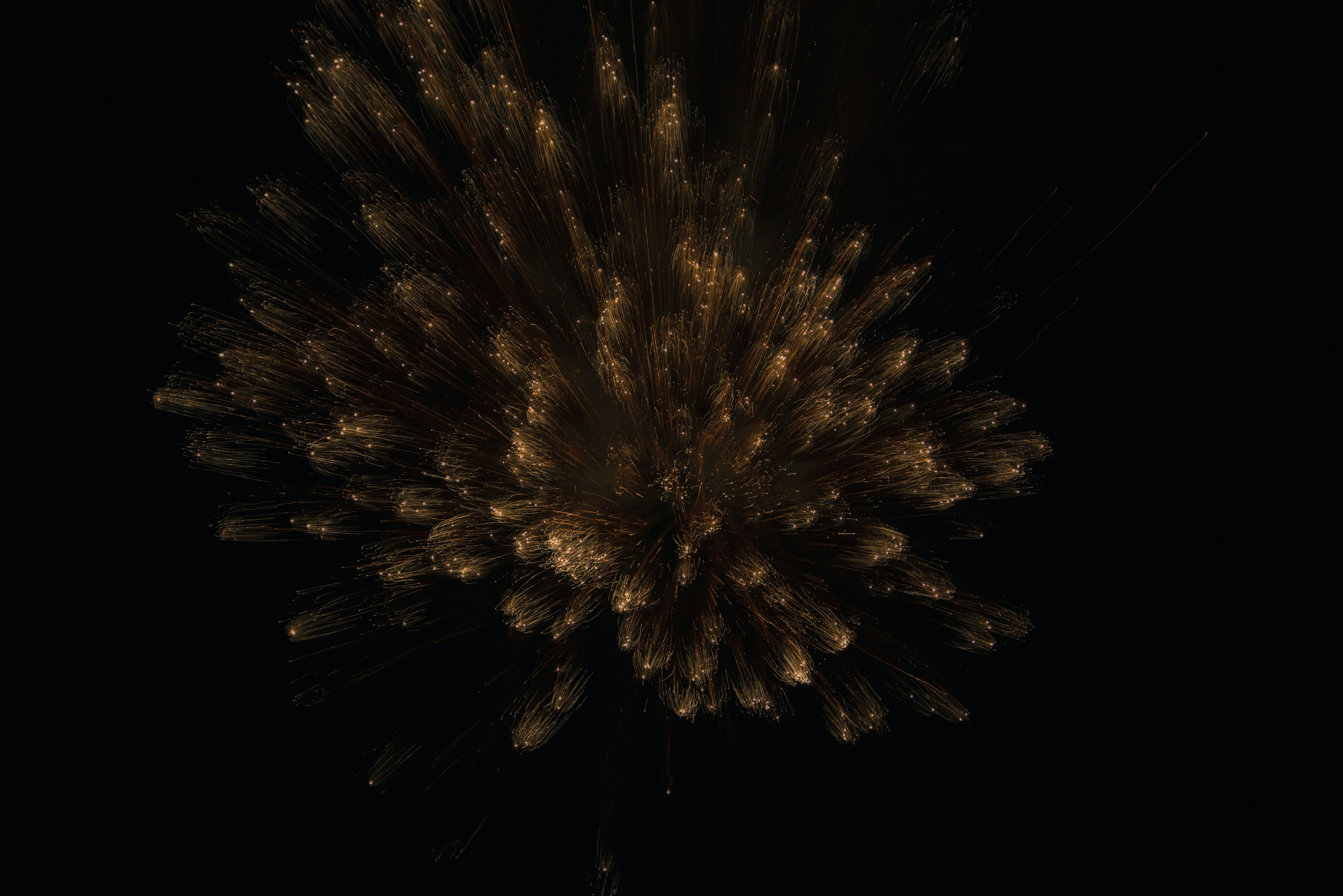 Free Unsplash photo from Federico Bottos