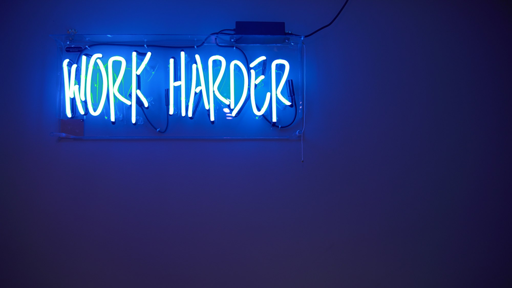 blue neon sign that says, "work harder".