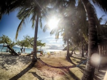 A serene beach scene features several tall palm trees casting long shadows on the sandy ground. A hammock is strung between two of the trees, offering a place to relax. In the background, a few people enjoy the beach, some standing and others sitting near the water. Gentle waves lap against the shore under a bright, sunny sky with some clouds on the horizon. A wooden structure is partially visible to the right.