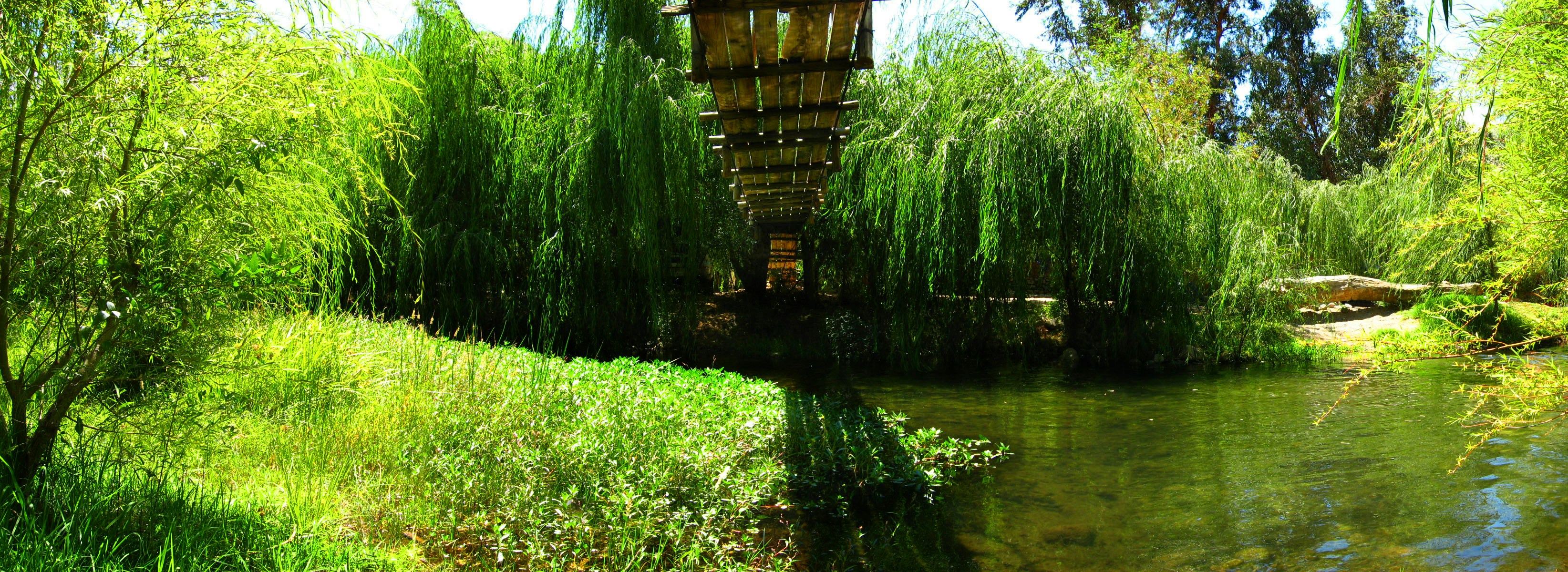 Free Unsplash photo from Marcelo Hernán Arre Márfull