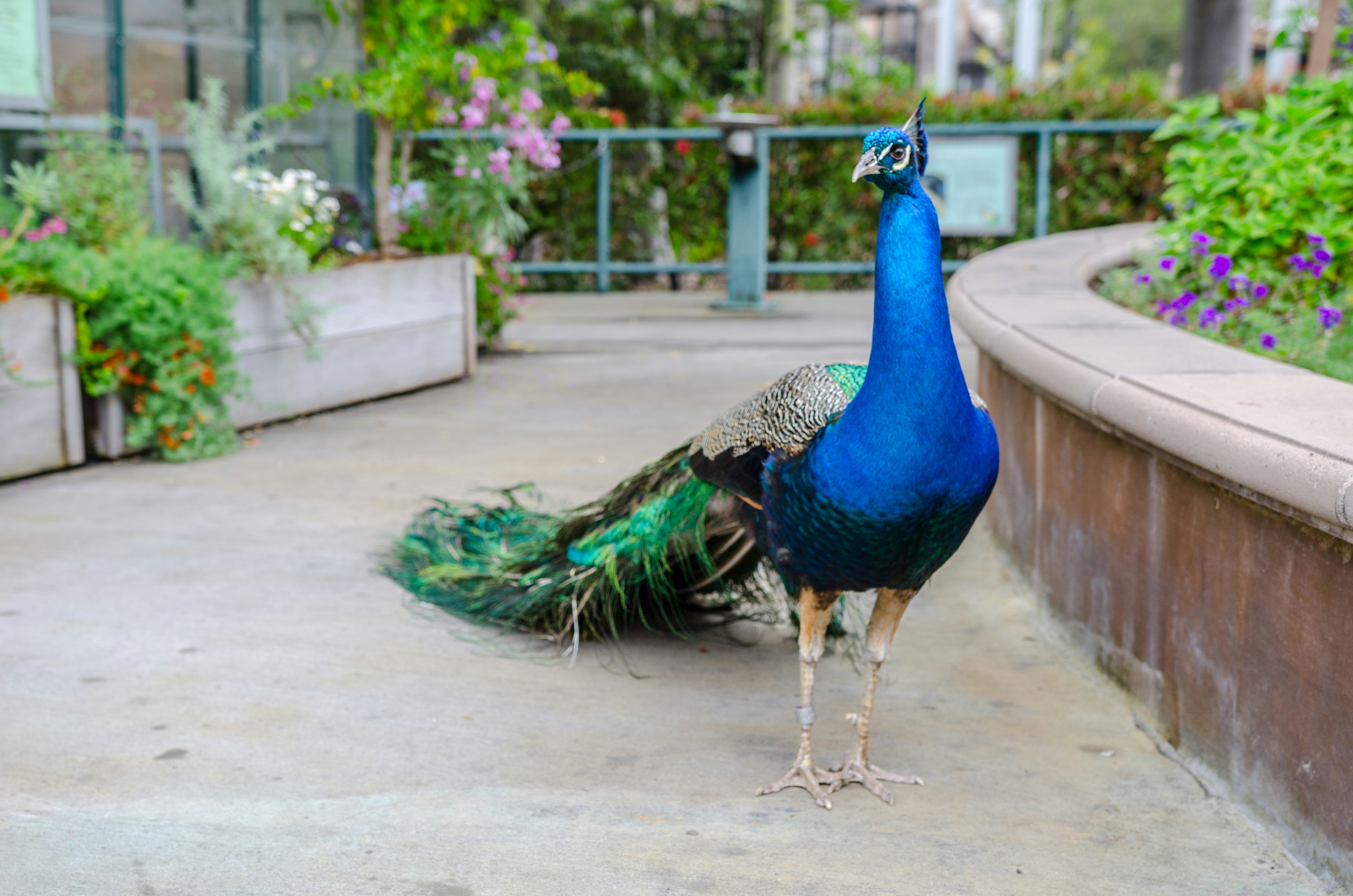 Free Unsplash photo from Ganapathy Kumar