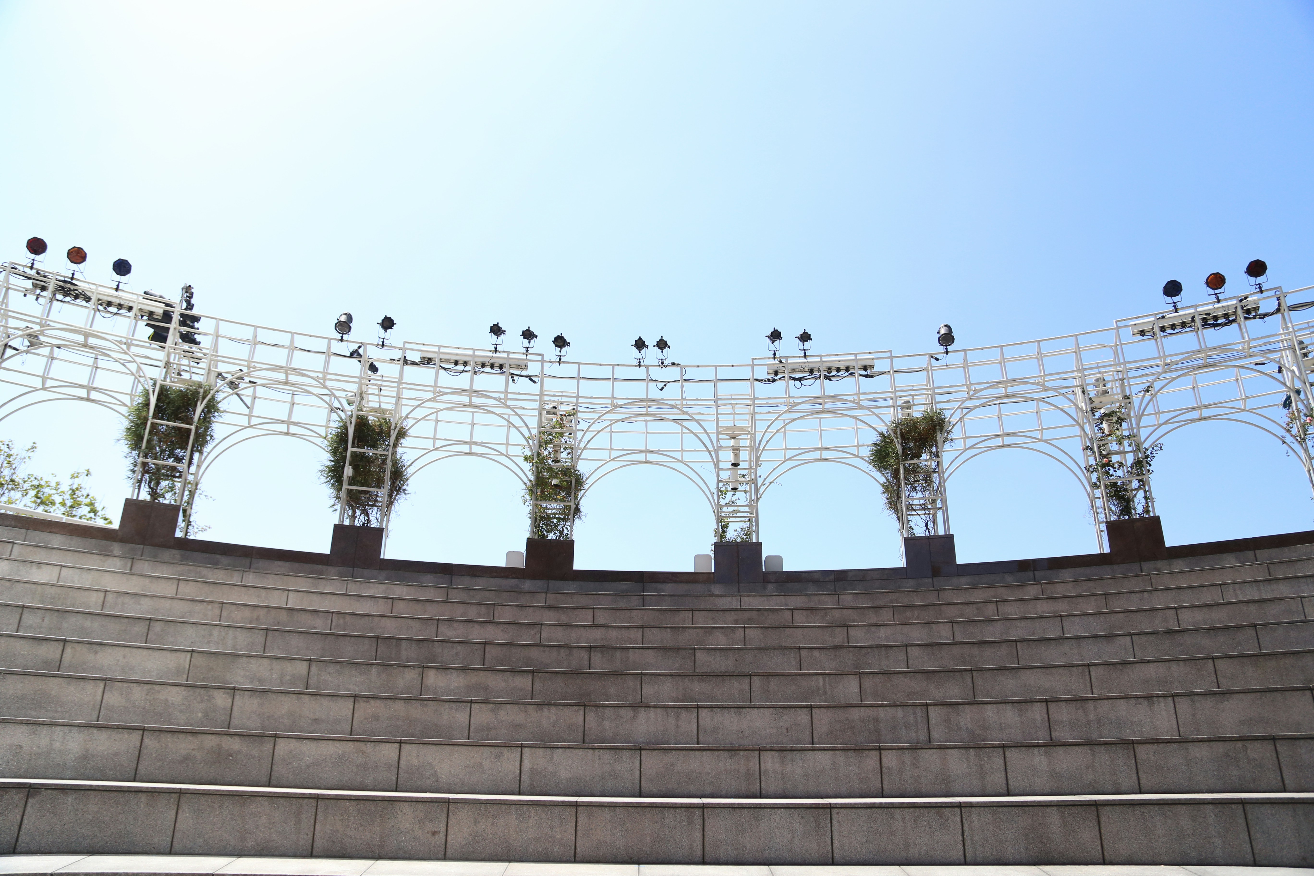 Free Unsplash photo from Steve