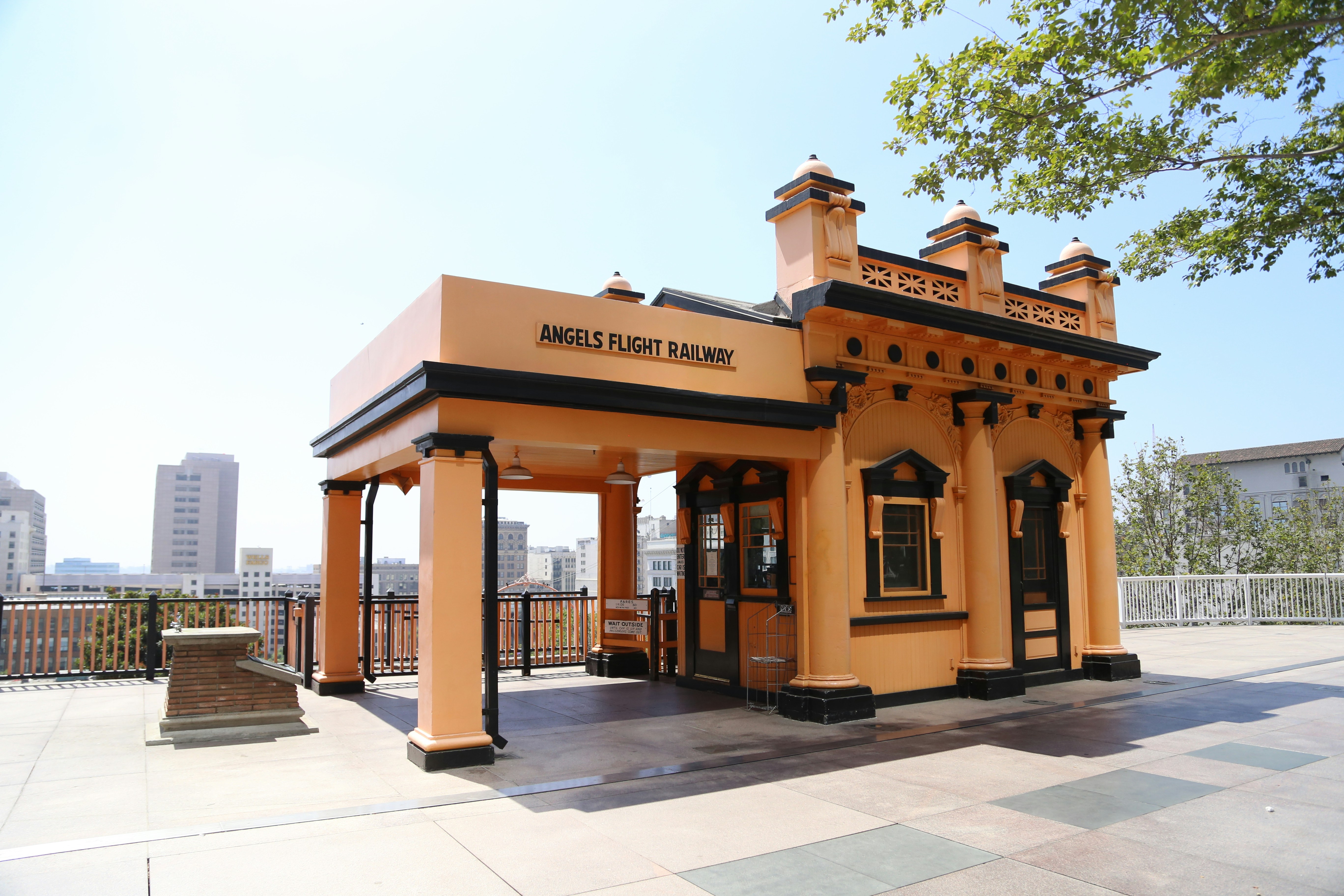 Free Unsplash photo from Steve