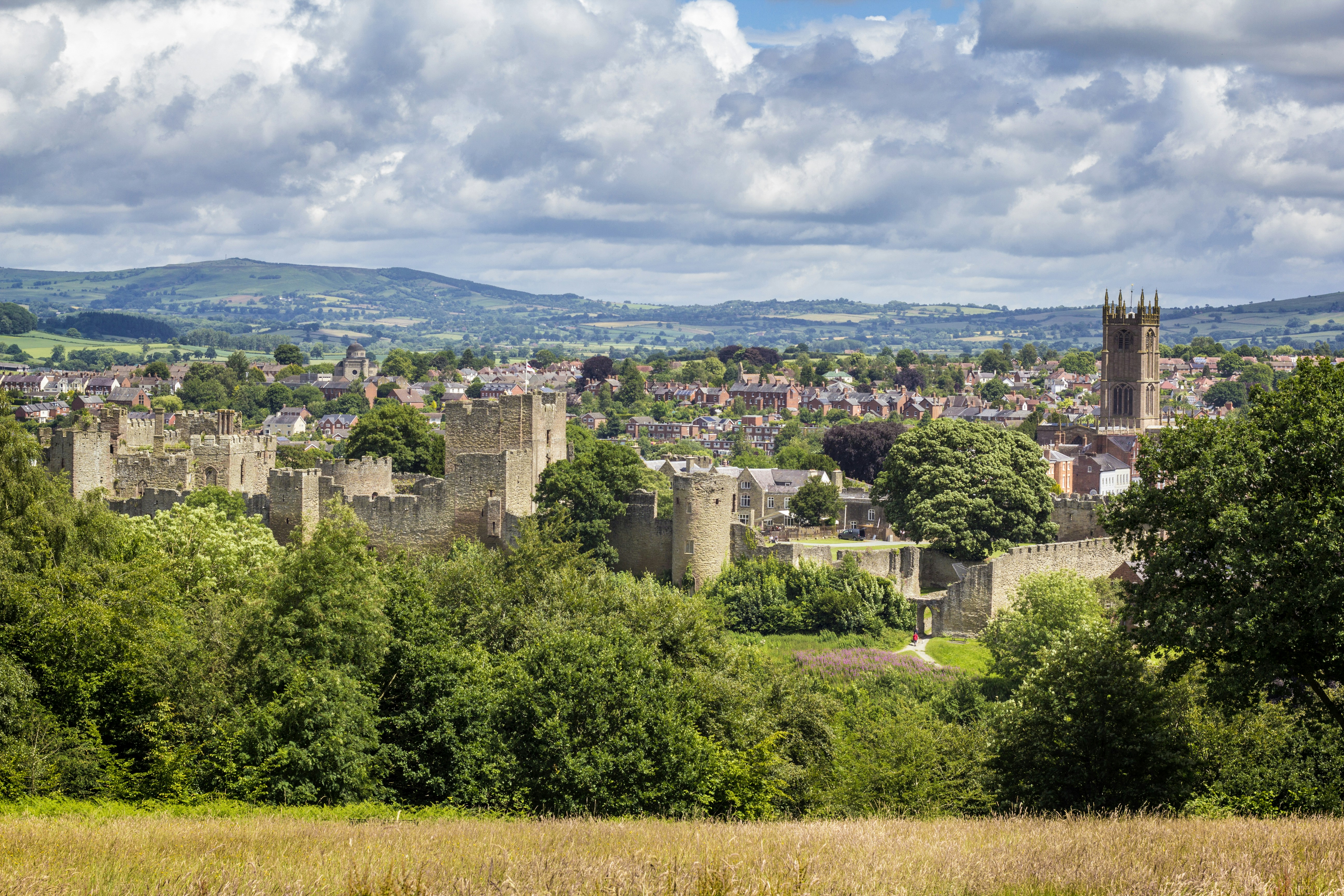 Free Unsplash photo from Elliott Stallion