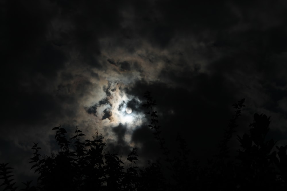 雲に覆われた月