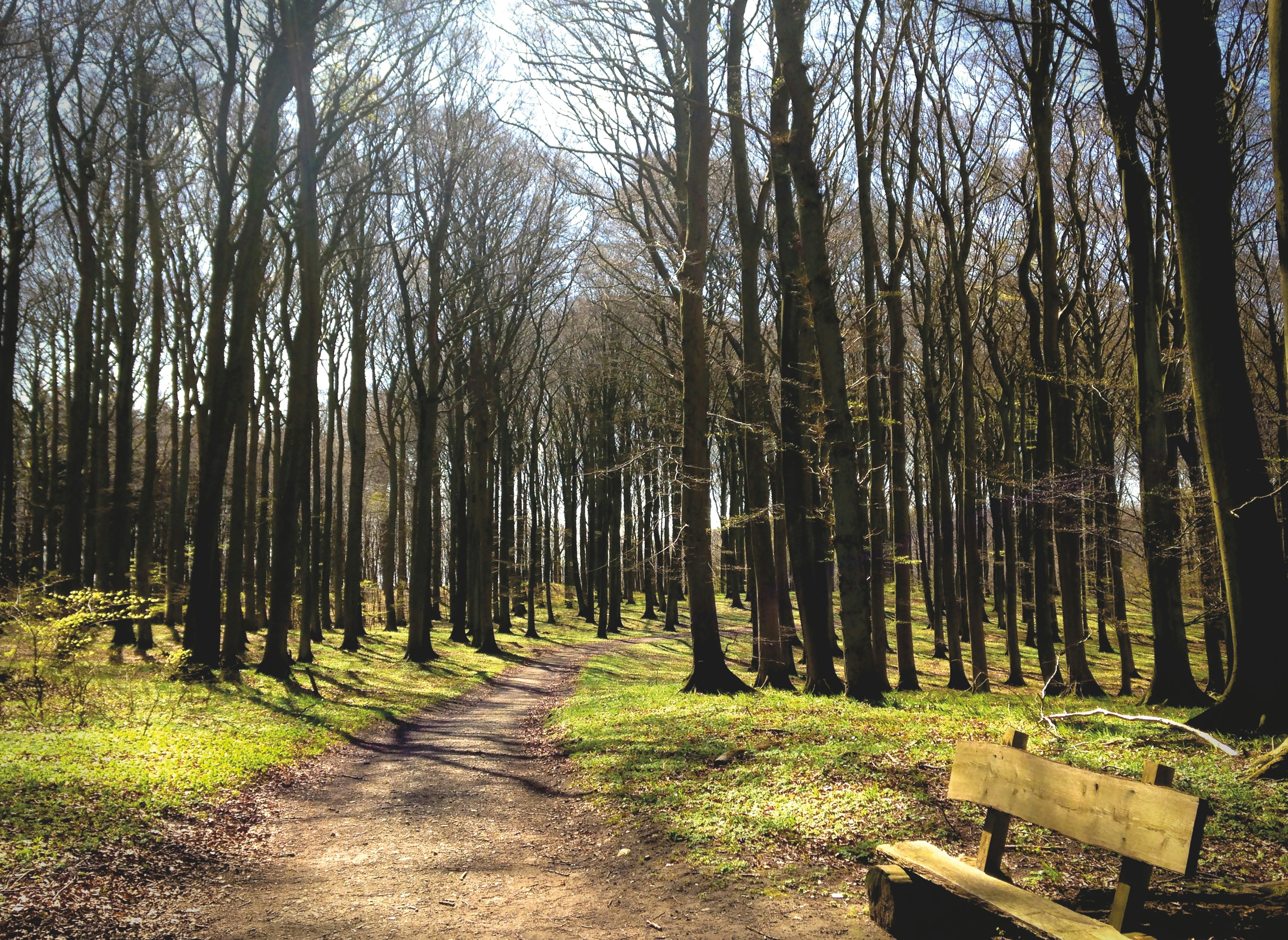 Free Unsplash photo from Sascha Lichtenstein