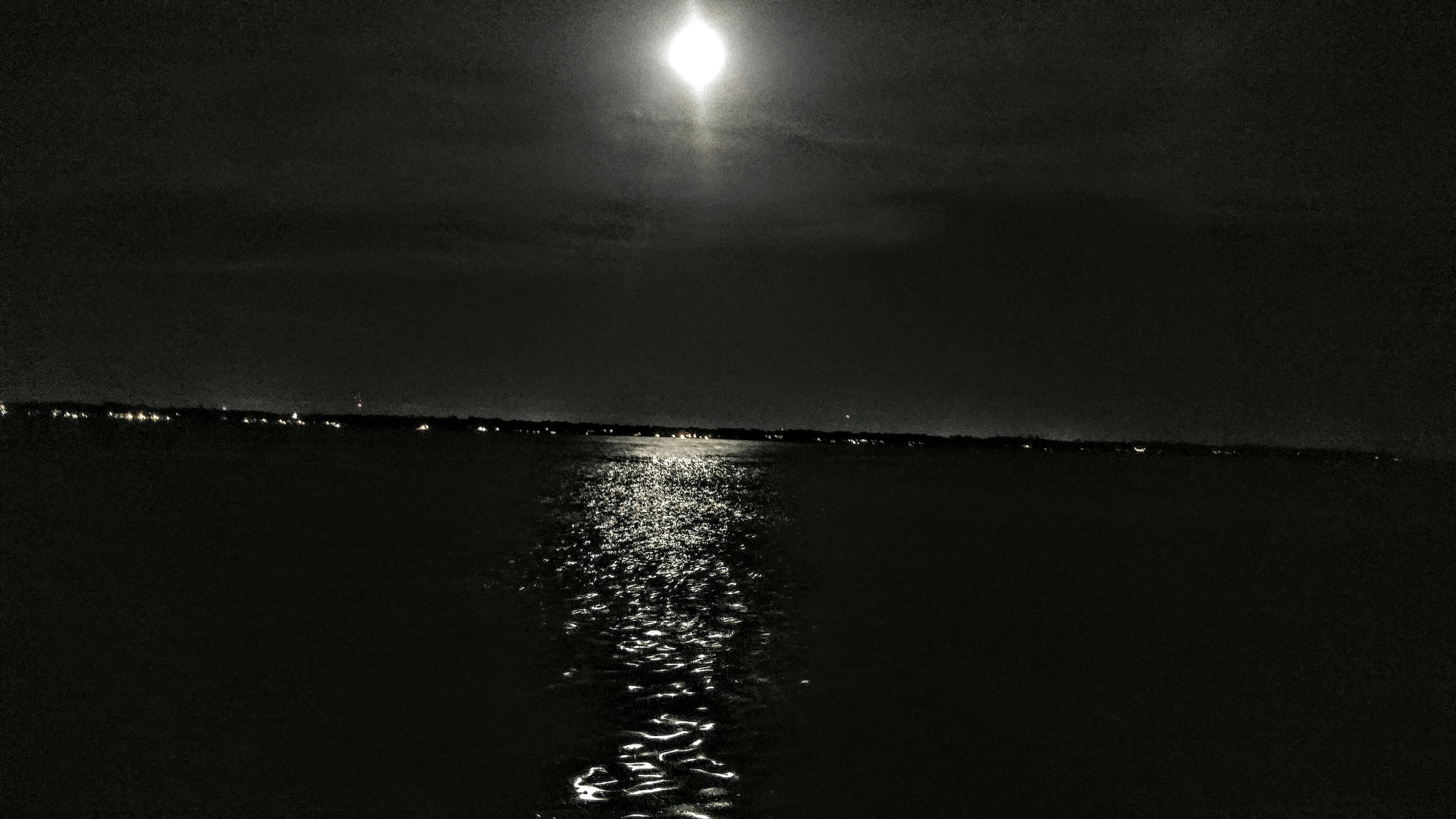 Free Unsplash photo from Paul Stone