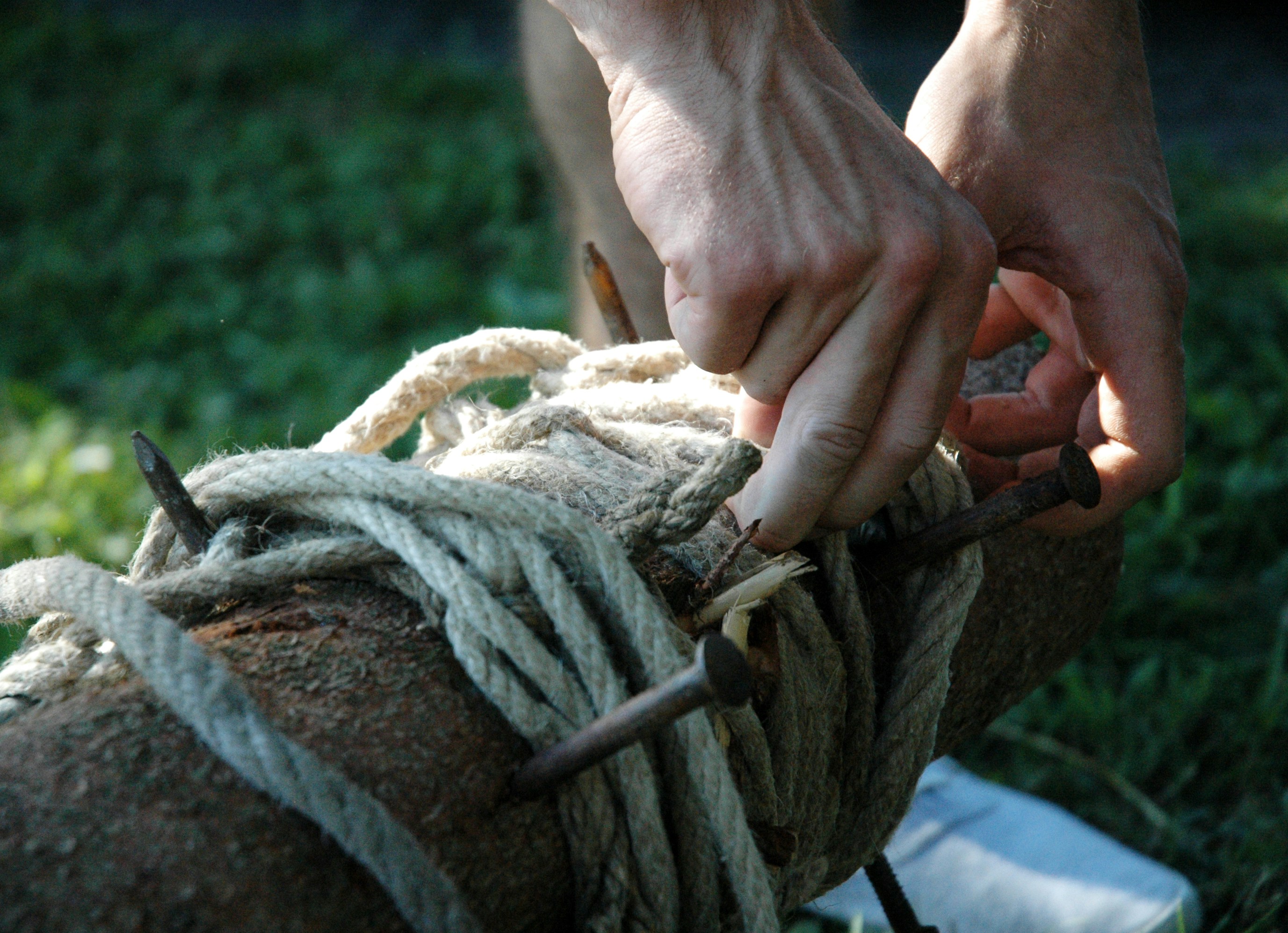 День веревки