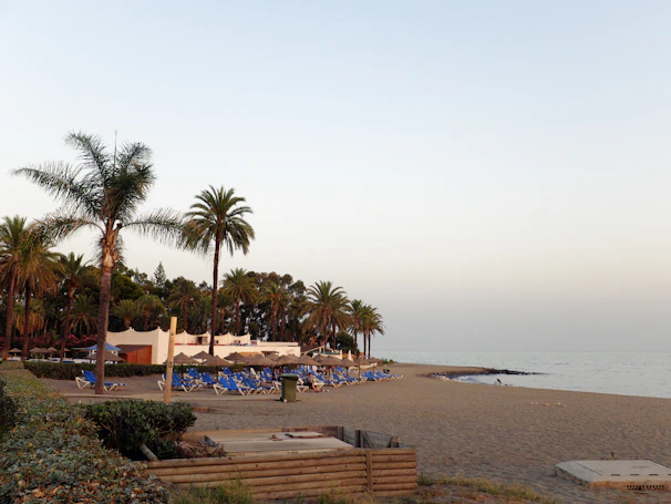 A tranquil beach scene with yoga mats laid out on soft sand under swaying palm trees.