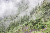 Travelers hiking a forest trail with vibrant tropical plants and a distant mountain vista.