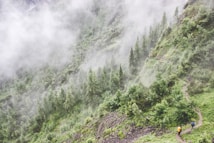 A misty, green hillside covered with dense forest and a narrow winding trail can be seen. Two hikers wearing bright colored clothing are walking along the path, surrounded by towering pine trees and lush vegetation.