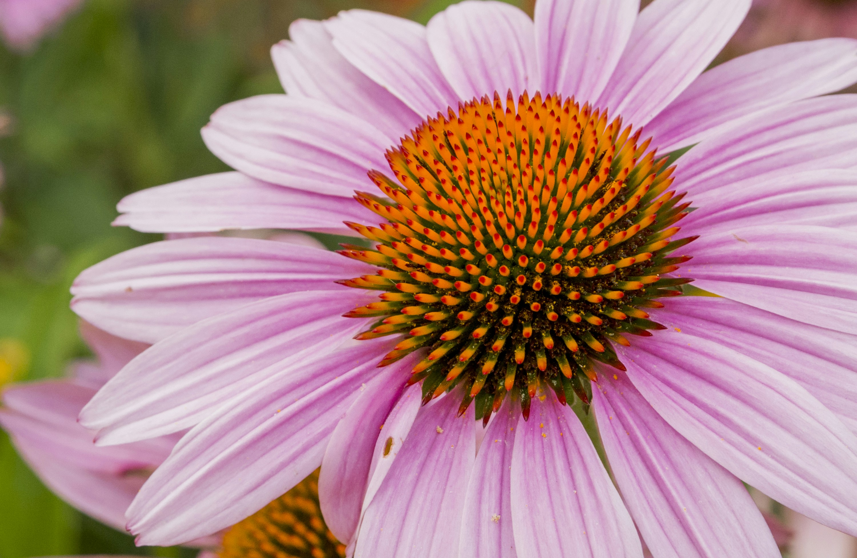 Free Unsplash photo from Rodrigo Rodriguez