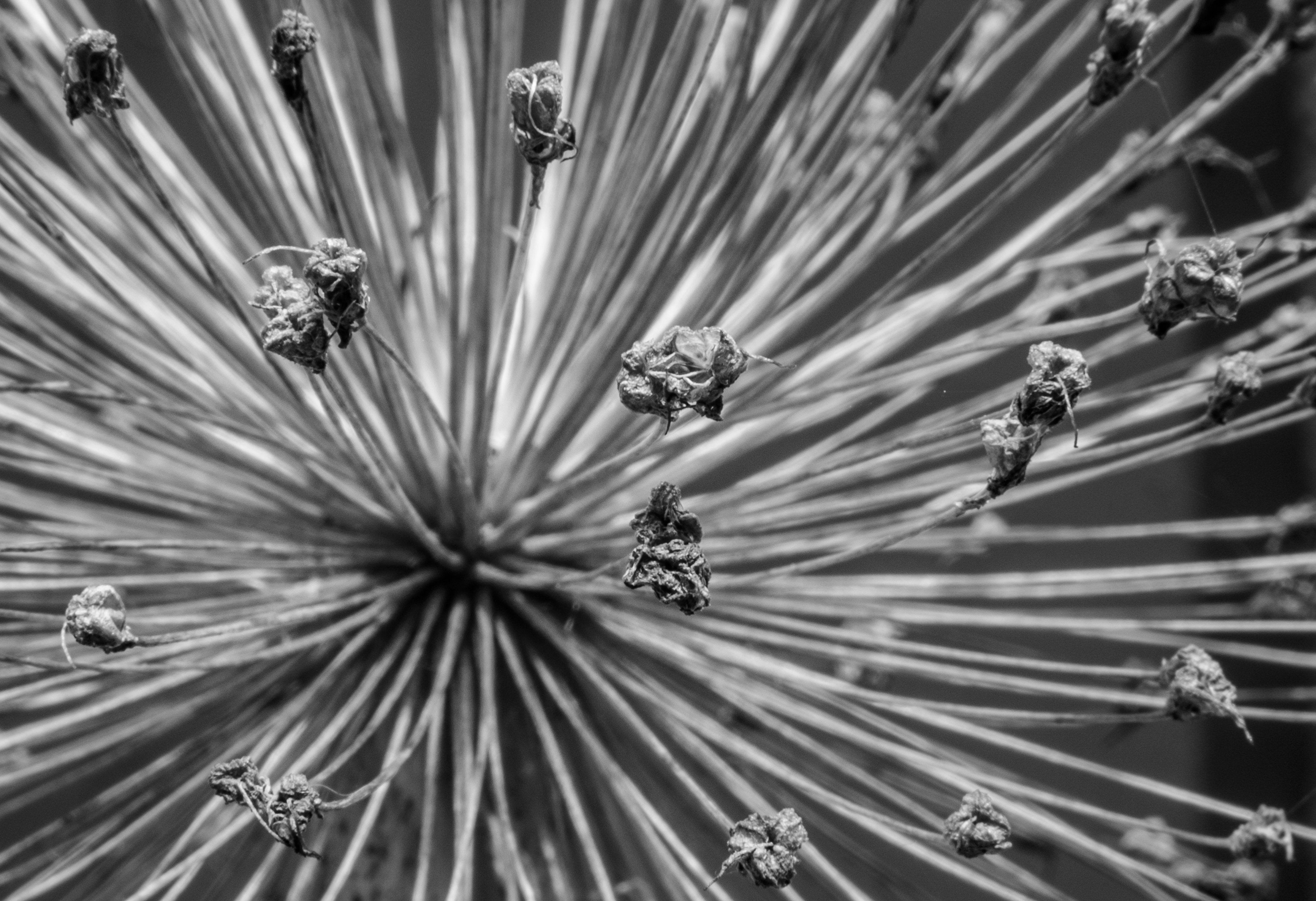 Free Unsplash photo from Rodrigo Rodriguez