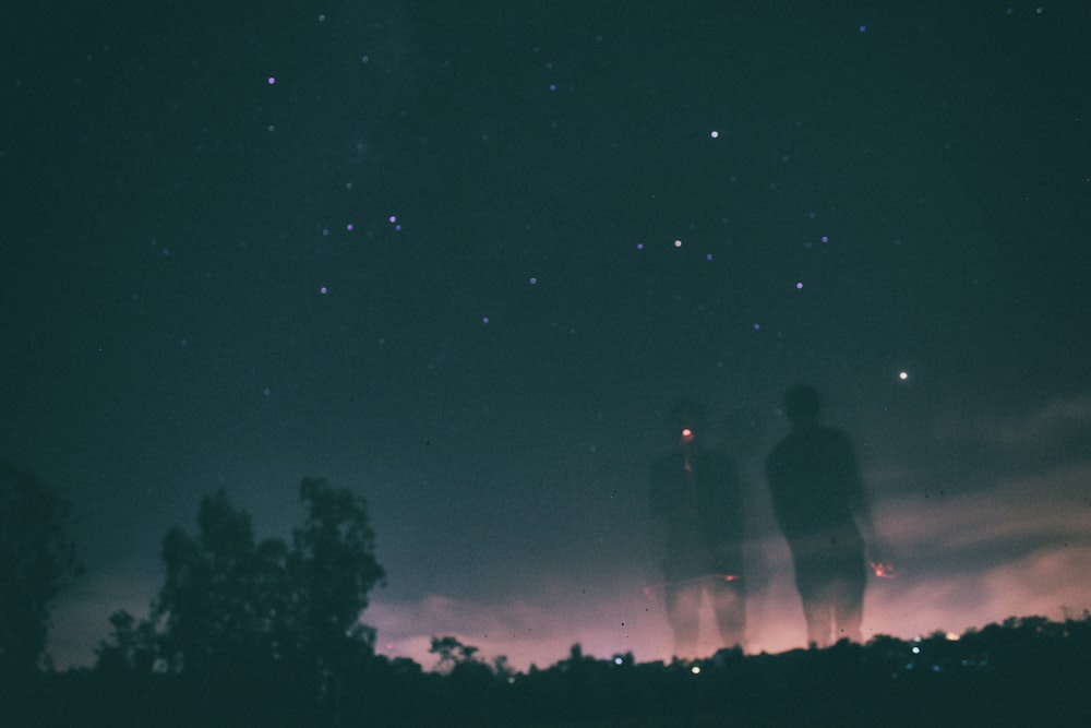 silhouette of trees under dark sky with stars