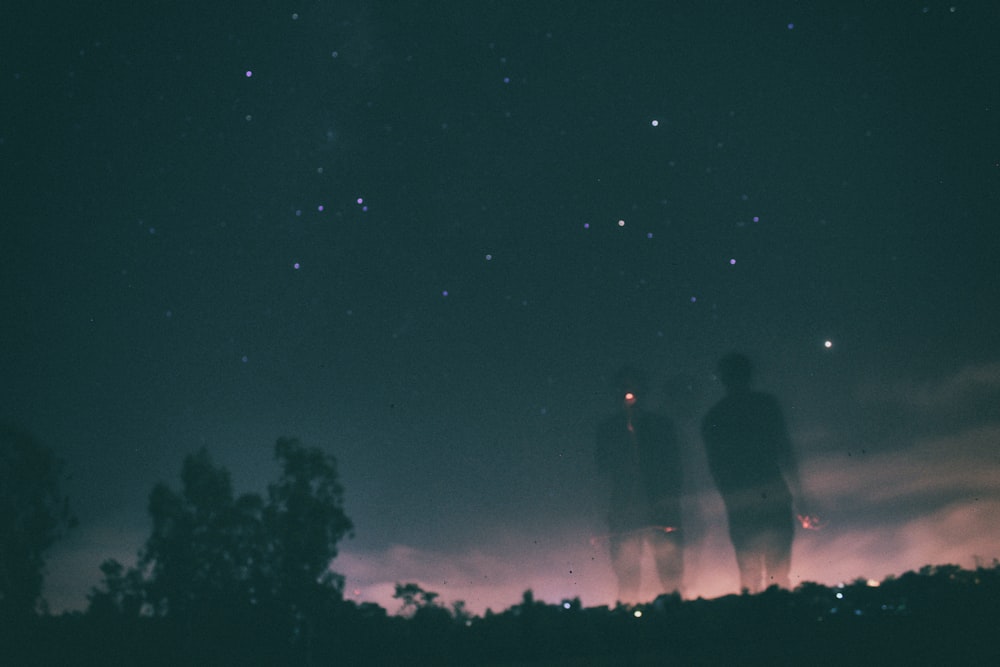 Silhouette von Bäumen unter dunklem Himmel mit Sternen