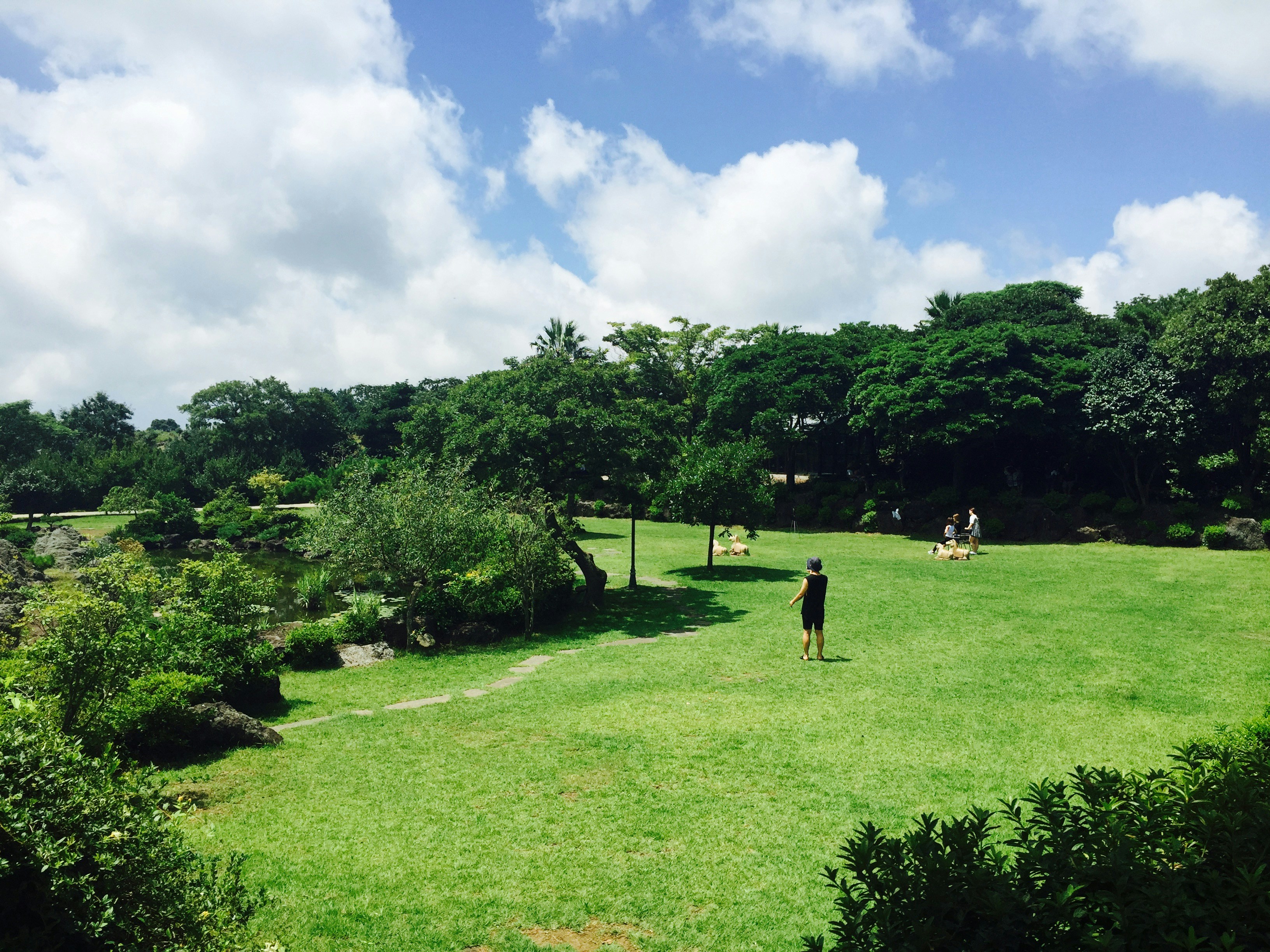 Free Unsplash photo from Kim Gichan