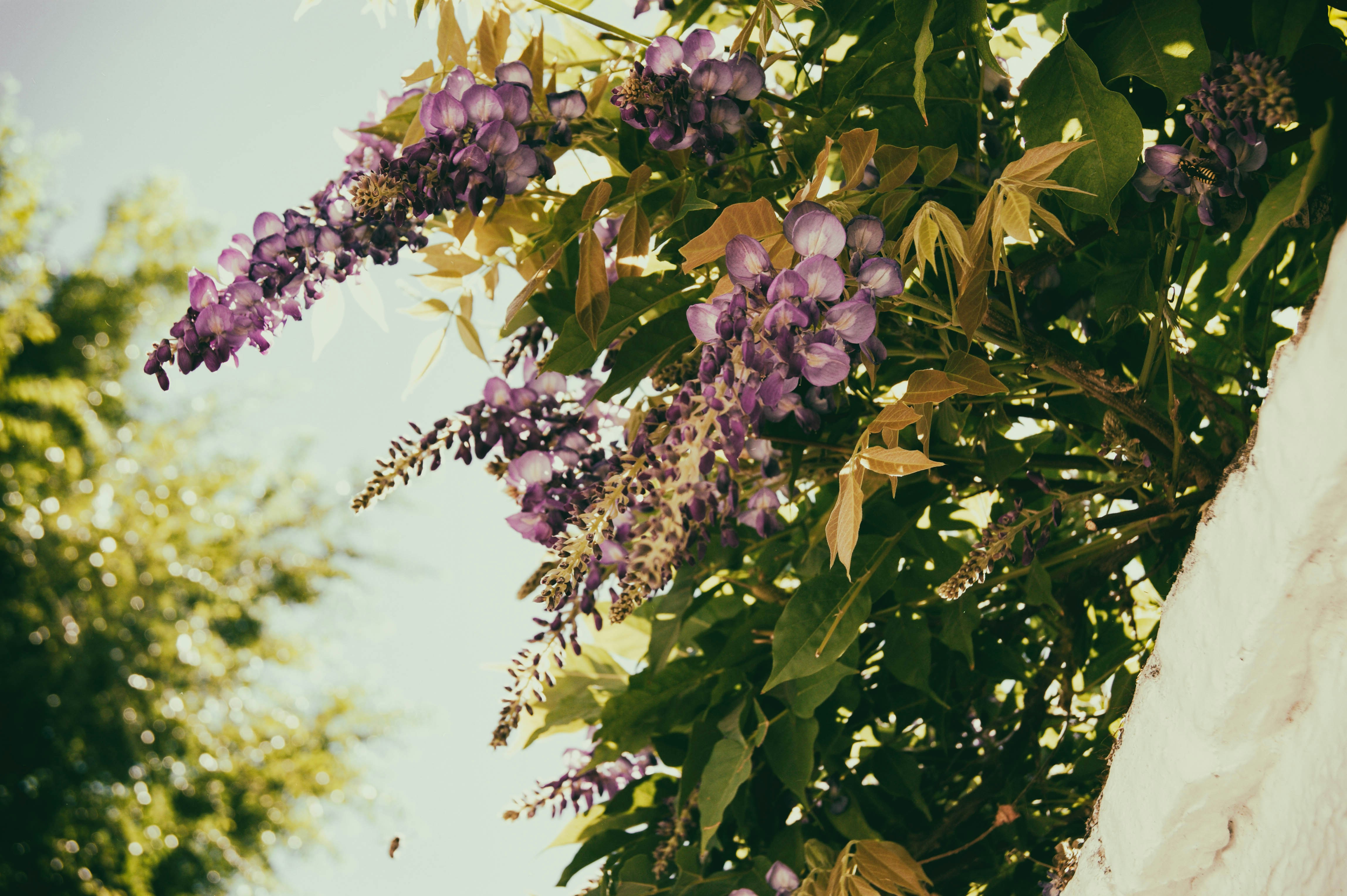 Free Unsplash photo from Miguel Osvaldo