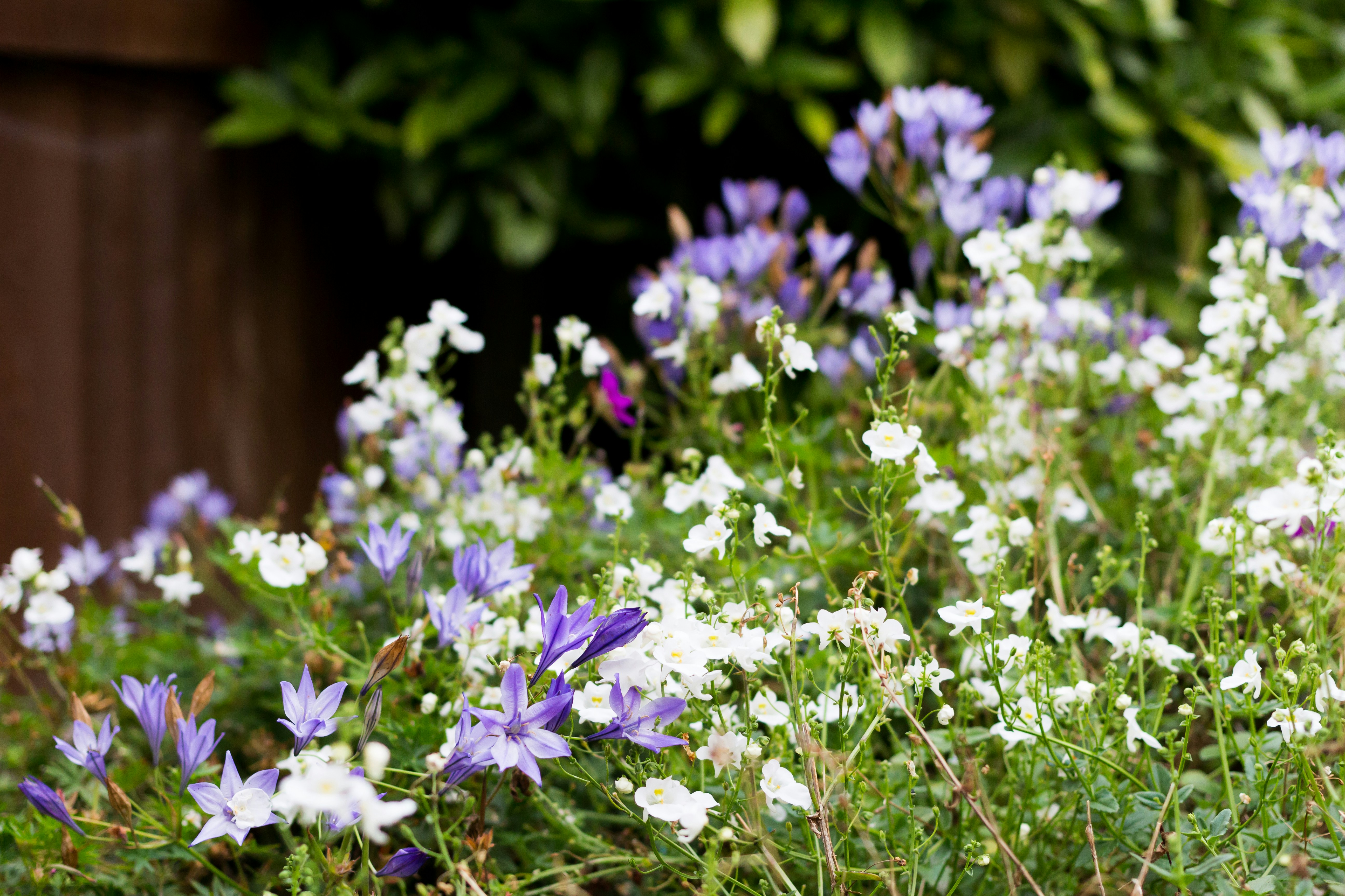 Free Unsplash photo from Luke Barnard