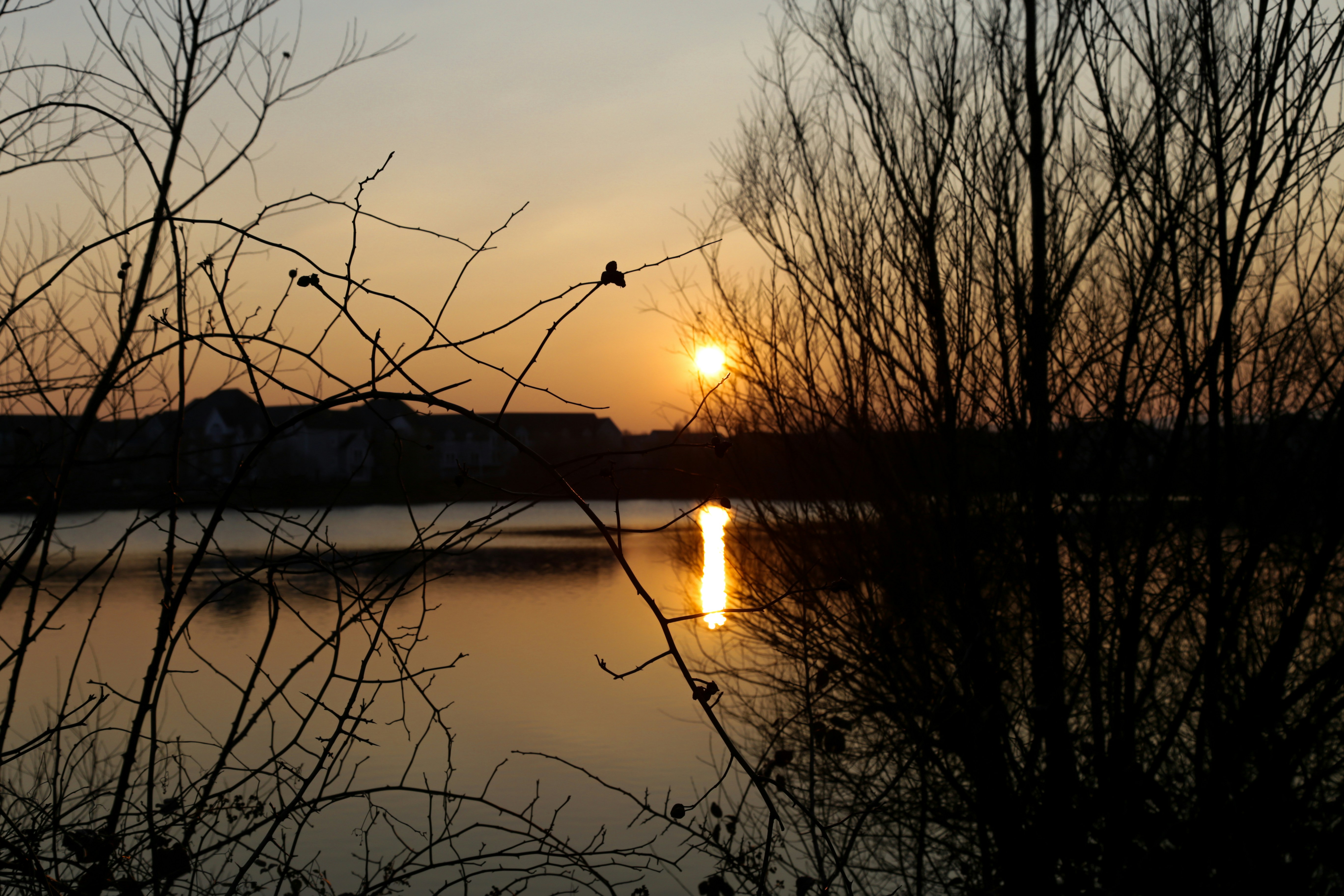 Free Unsplash photo from Luke Barnard