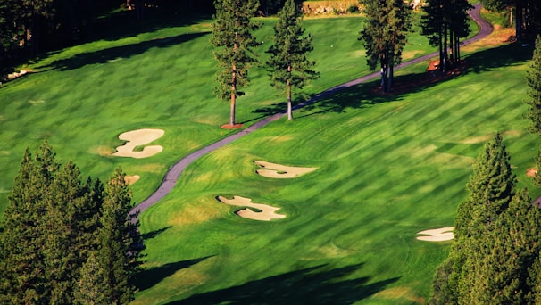An aerial view of a lush green golf course featuring multiple sand bunkers, a paved pathway, and tall pine trees. The grass is well-maintained, and the bunkers vary in size, strategically placed around the course.