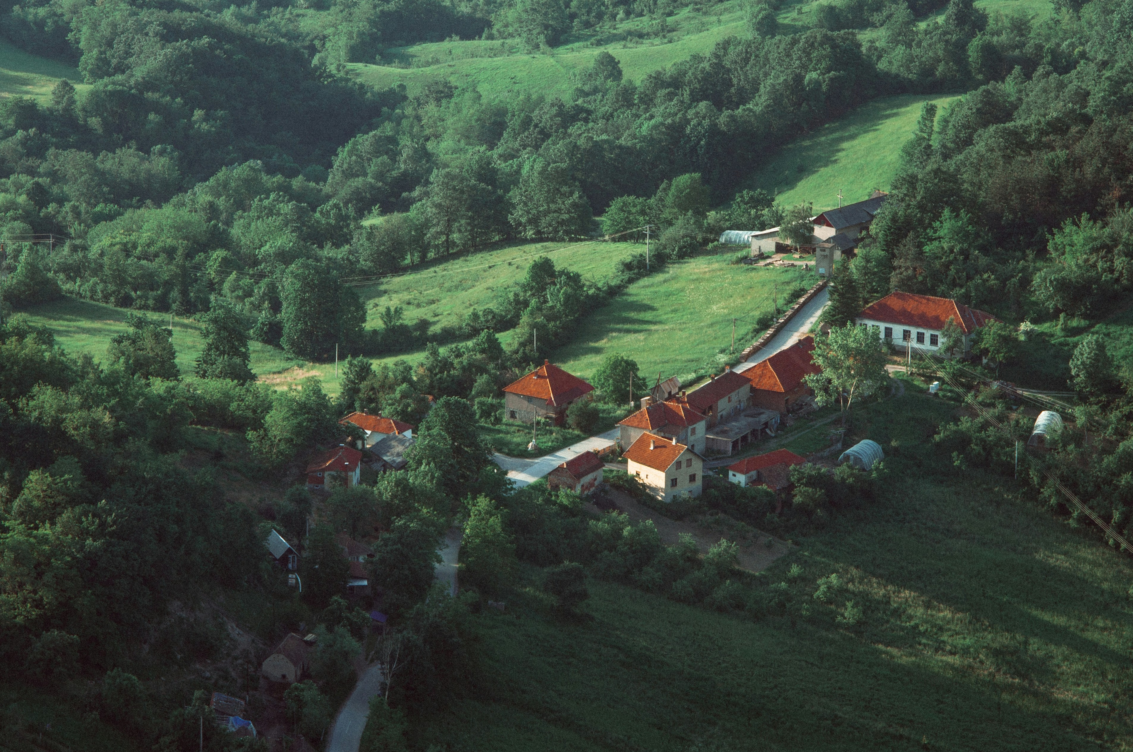 Free Unsplash photo from Luka Ostojic