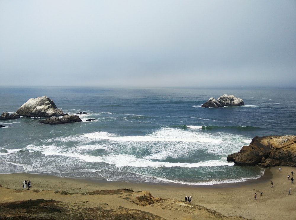 people standing on shoreline