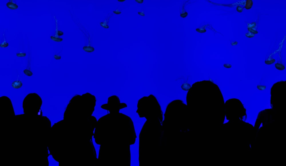 people silhouettes with blue background