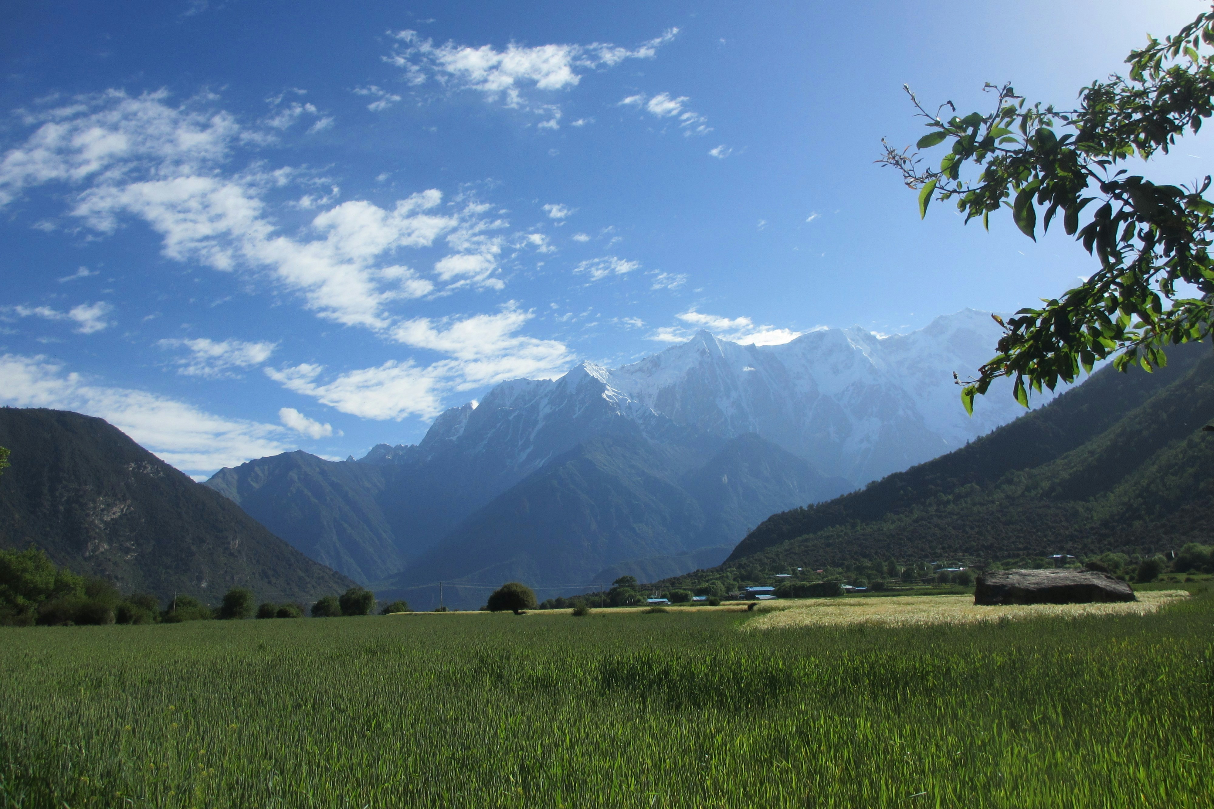 Free Unsplash photo from Amy Skyer